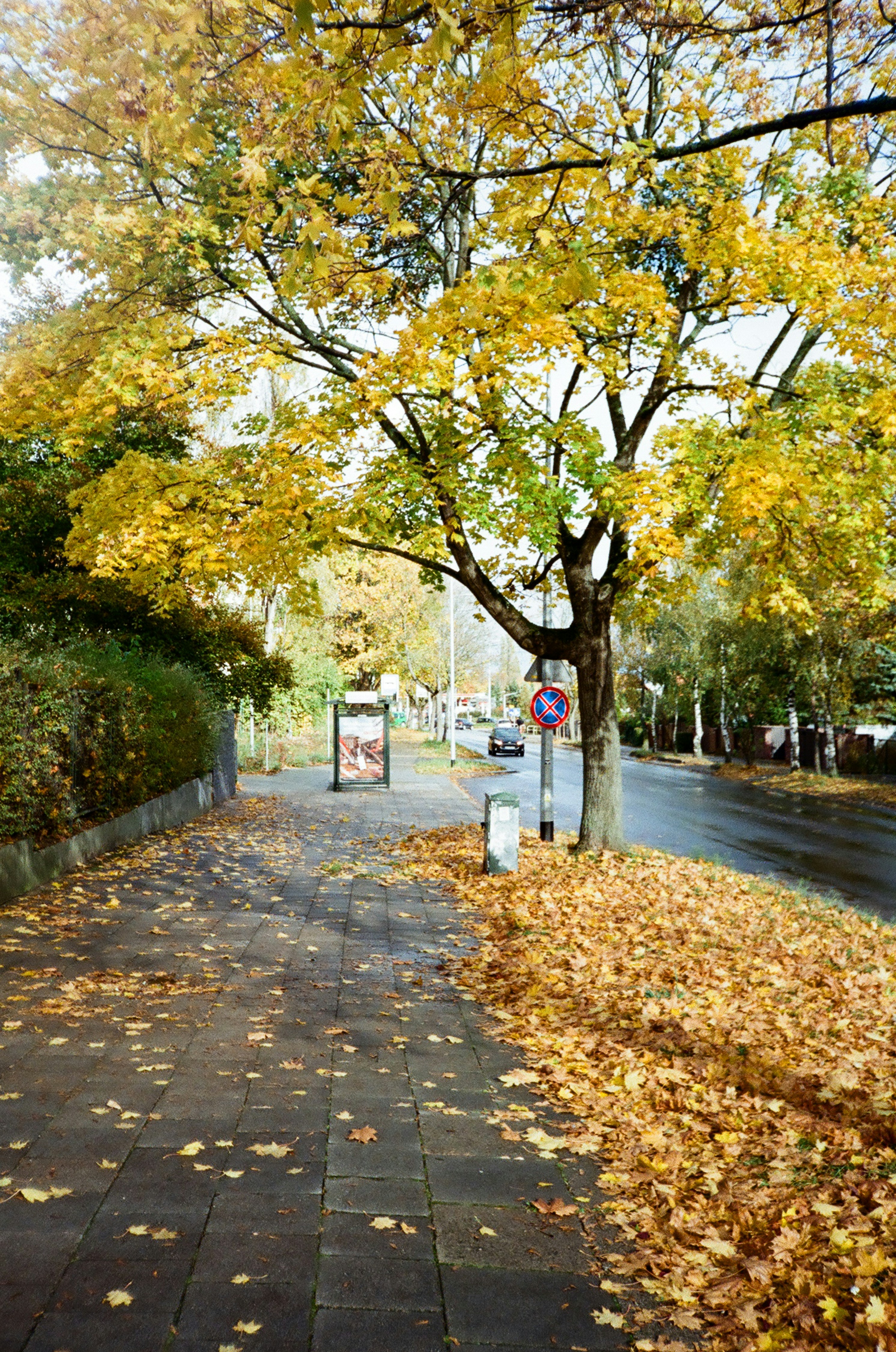 Photo by p_kuzovkova