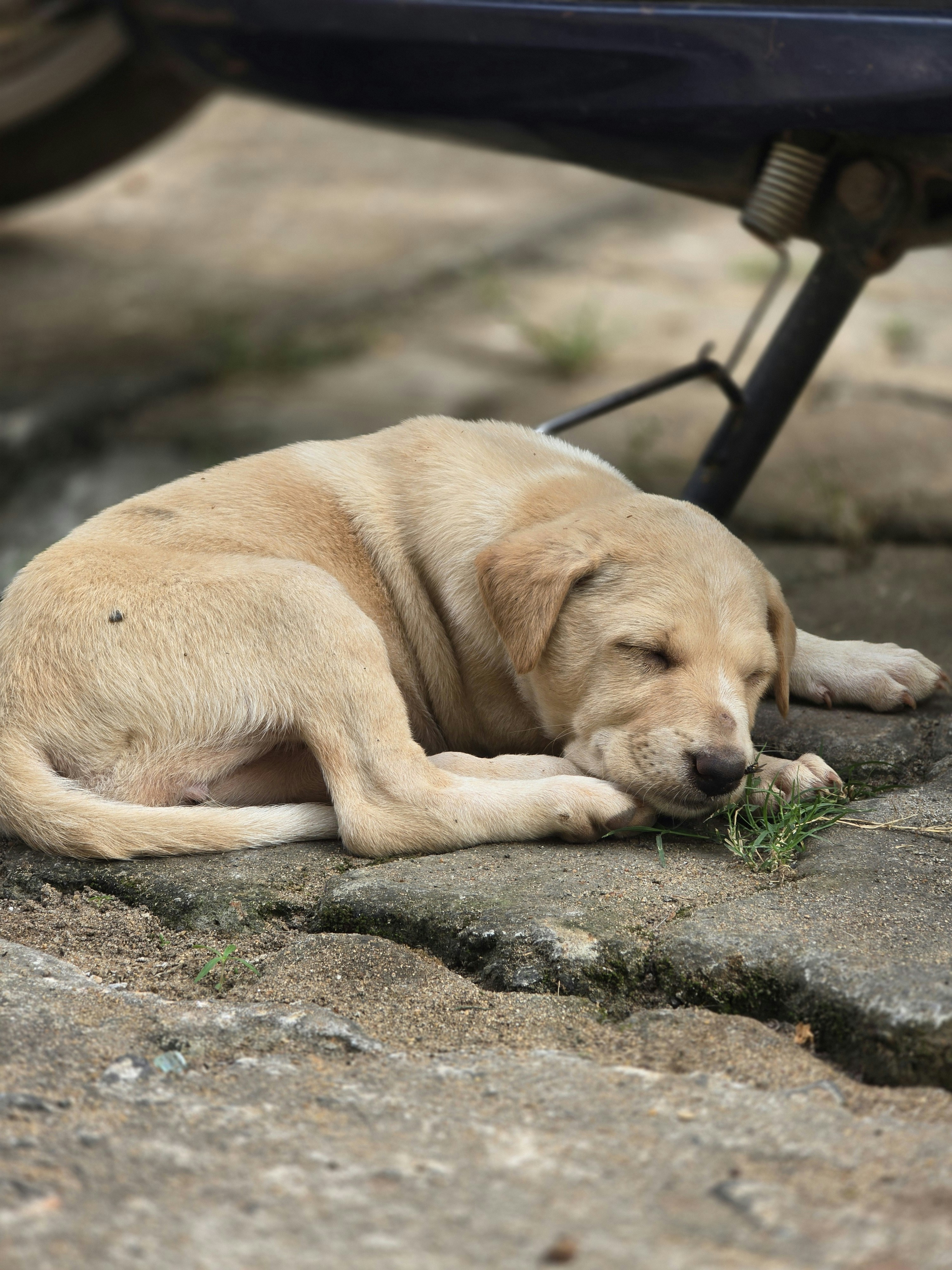 Photo by anjalipanigrahi