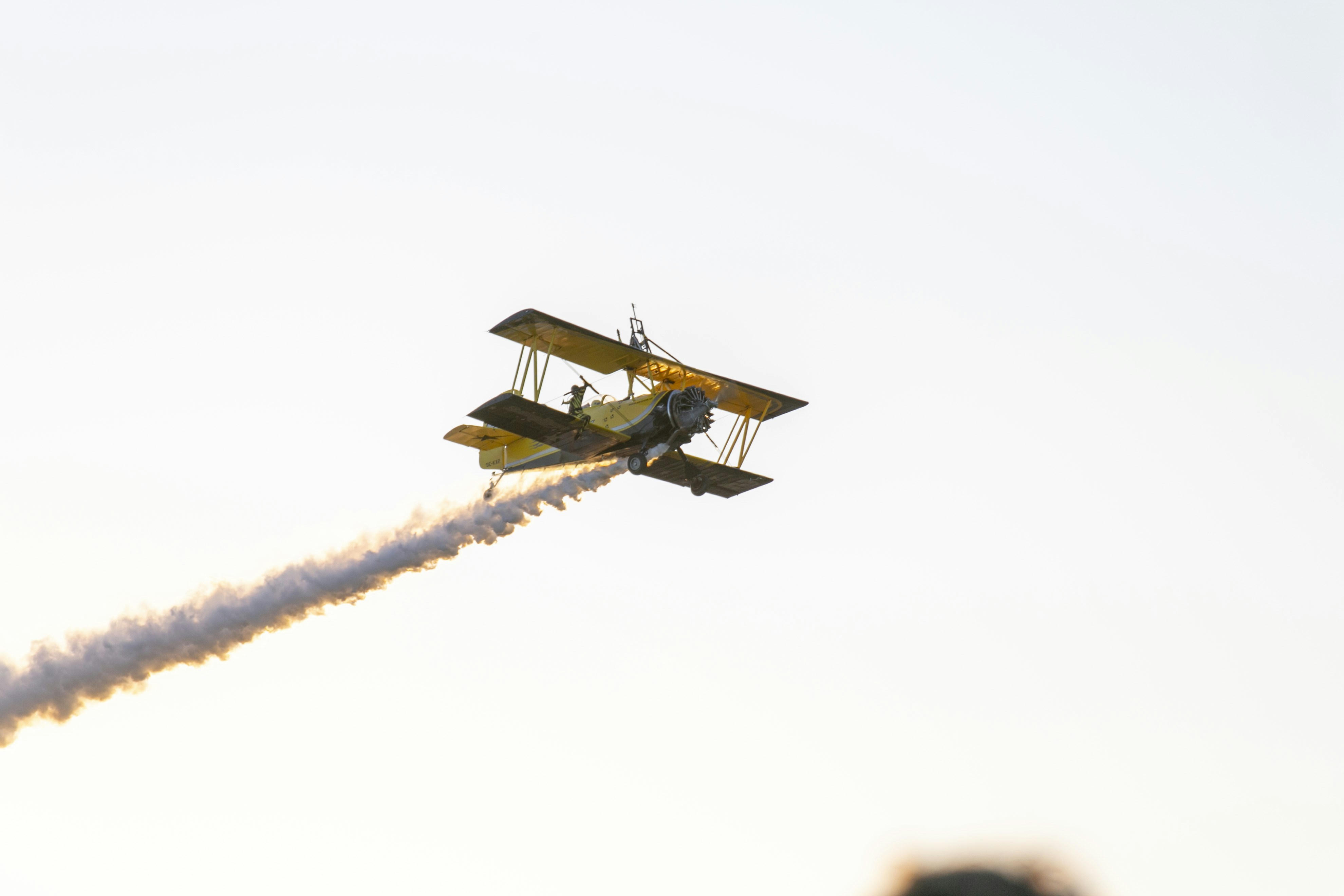 Incorporating Emotional Narratives: Insights from Classic Literature in Your Content