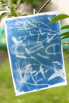 Cyanotype print with plants hanging on a branch