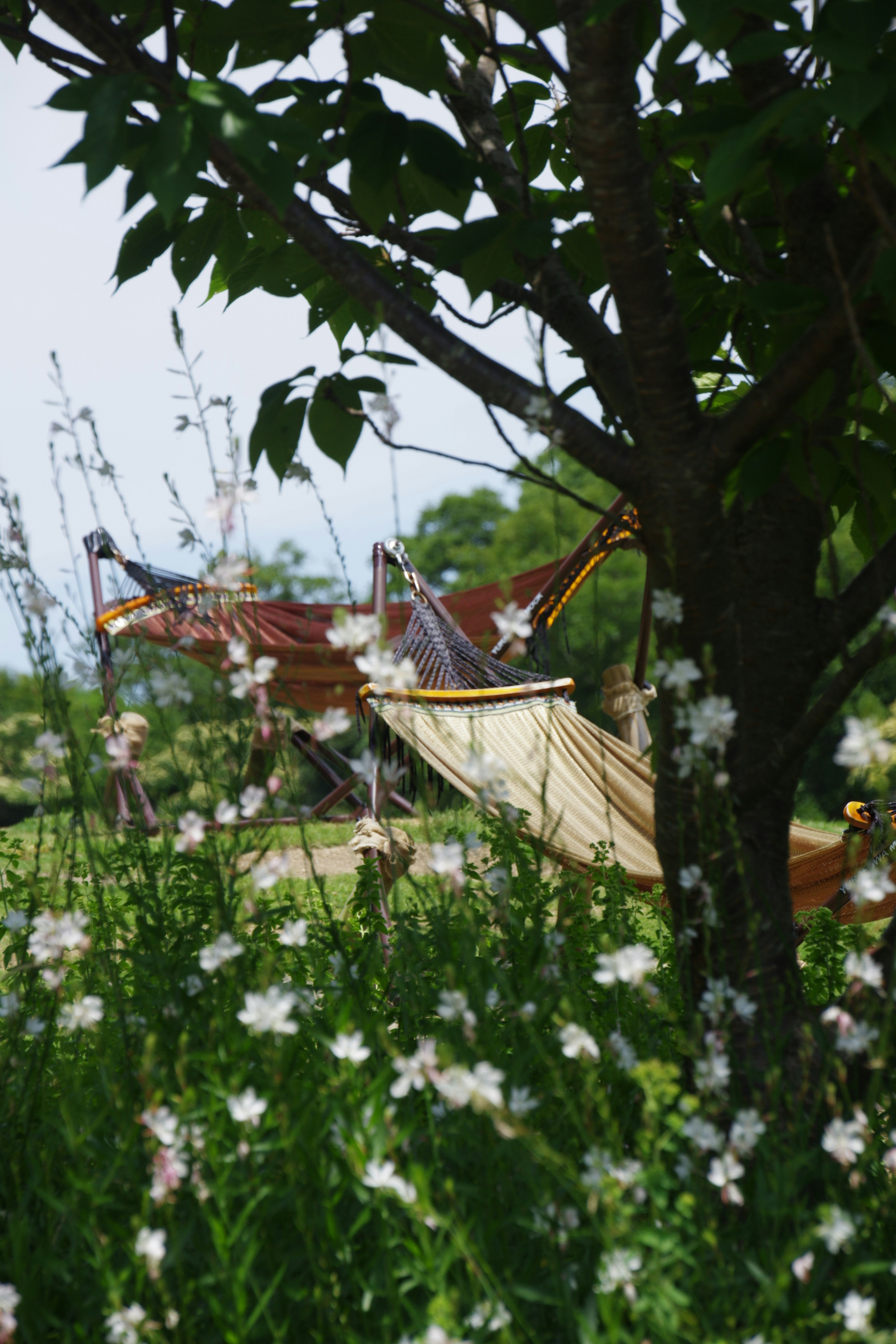 outdoor hammock relaxation, wallpaper, Best Hammock Accessories for Comfort & Storage 3