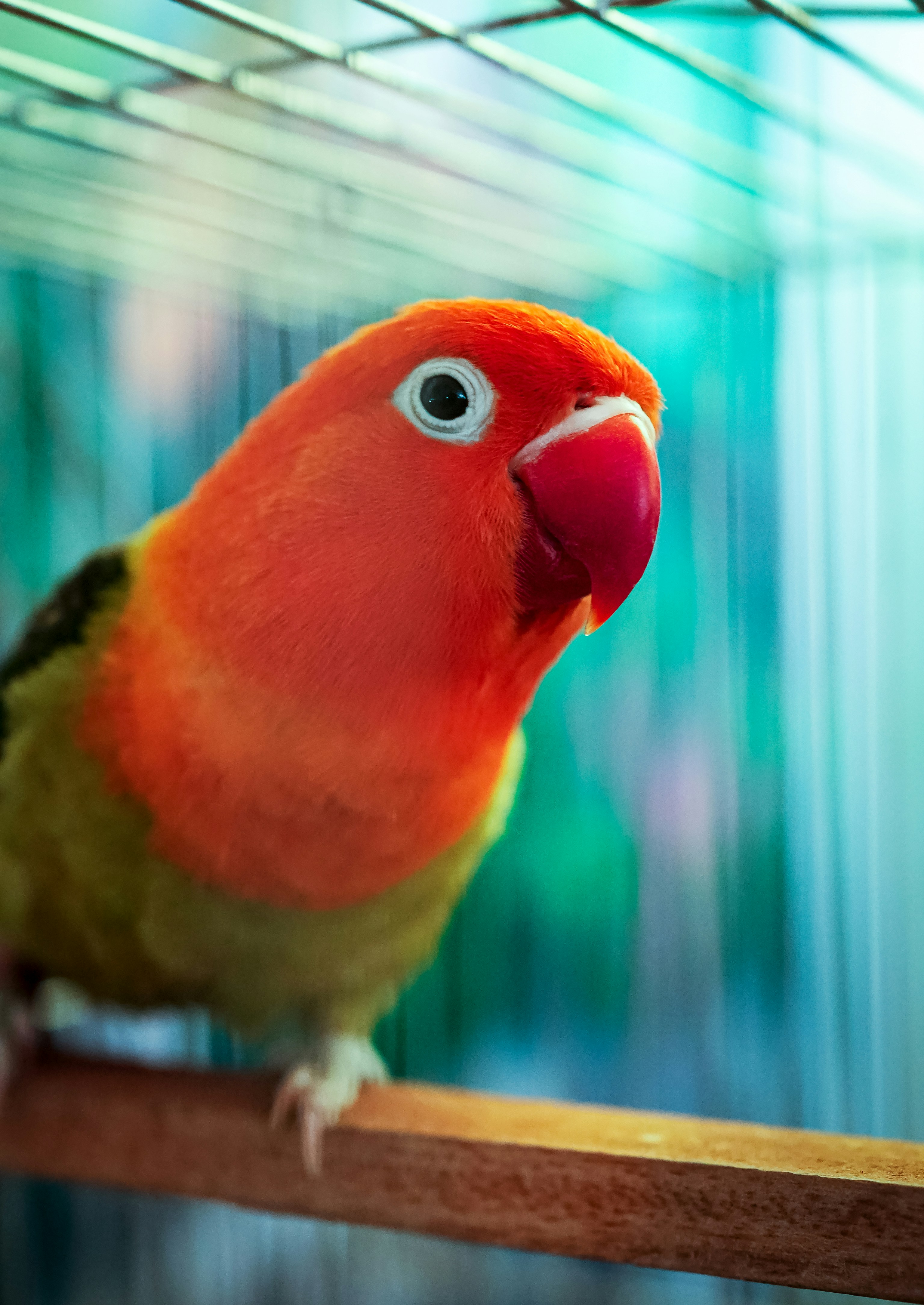 Photo by brocoleemonade