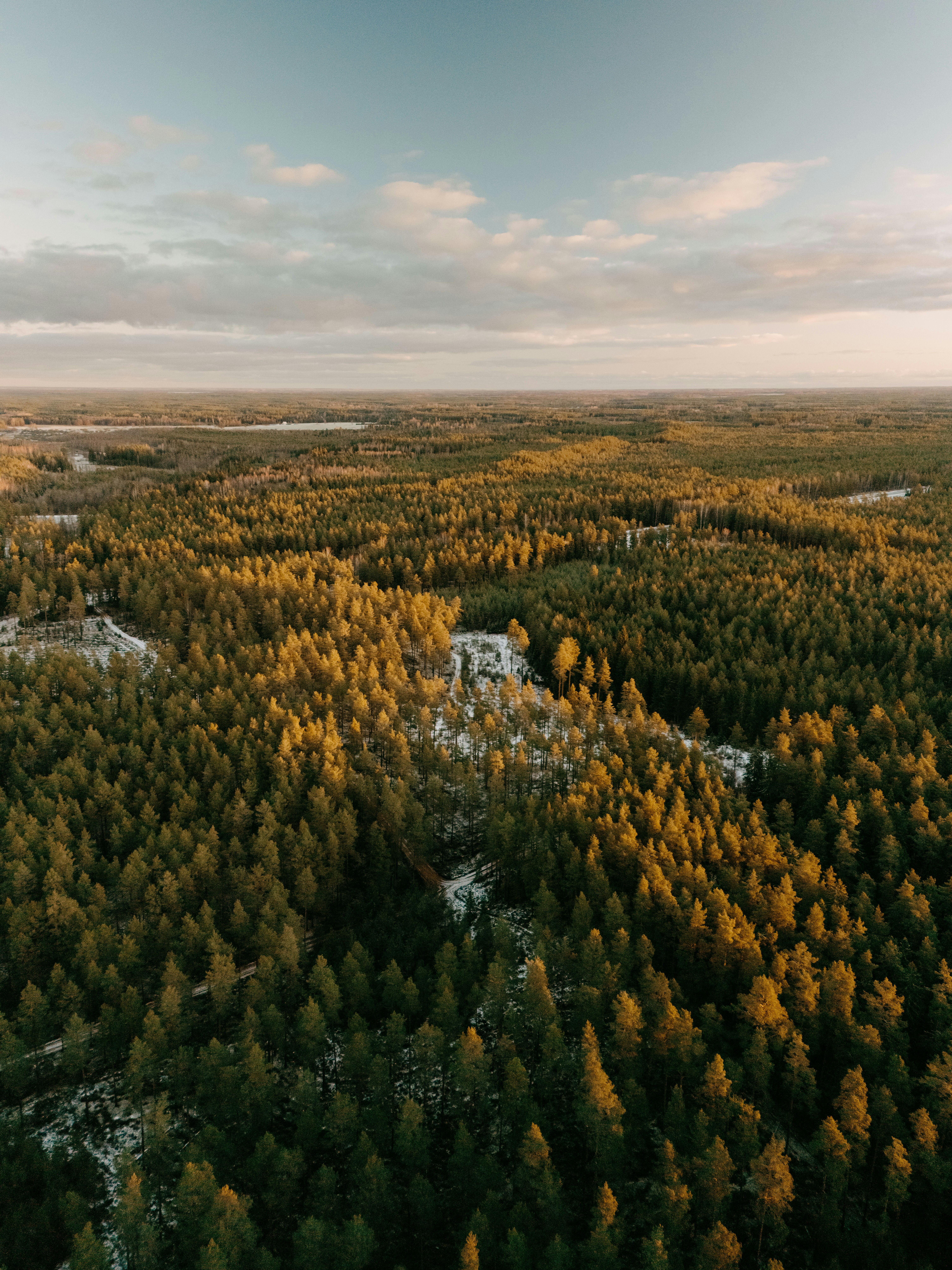 Photo by vilkuaivars