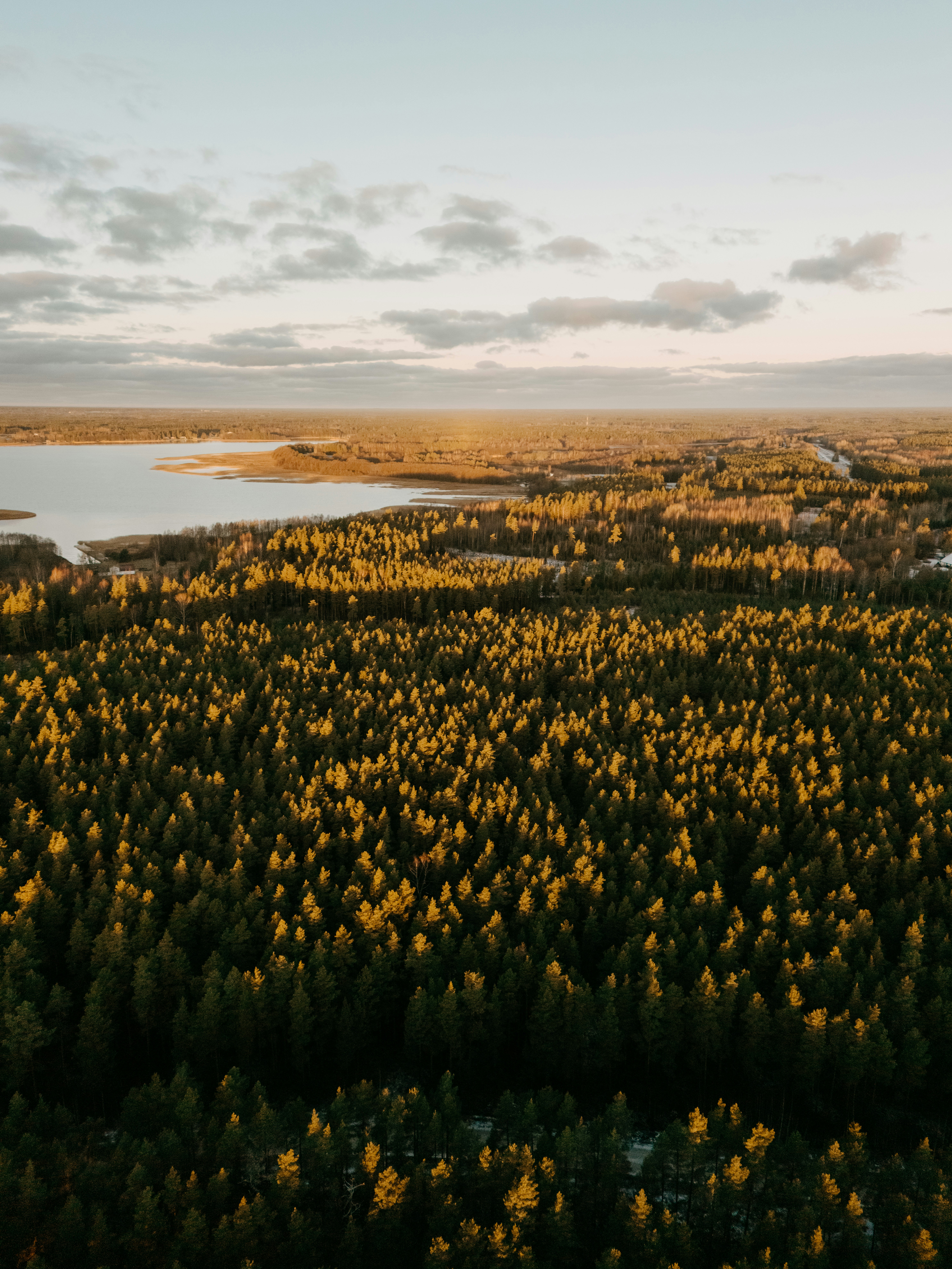 Photo by vilkuaivars