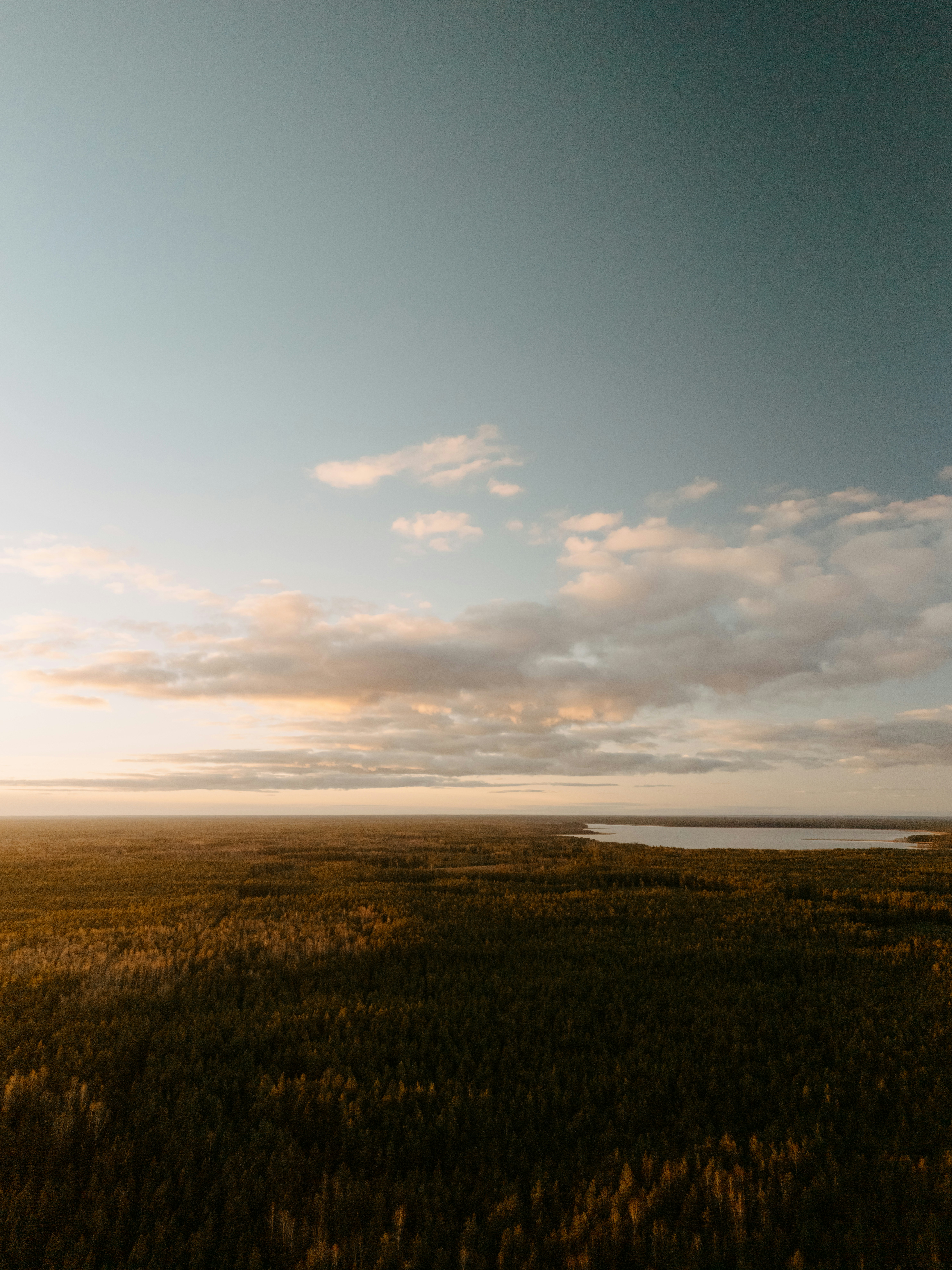 Photo by vilkuaivars