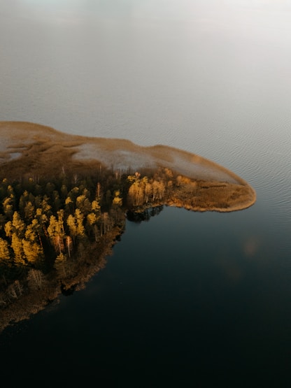 Misty Lake Peninsula