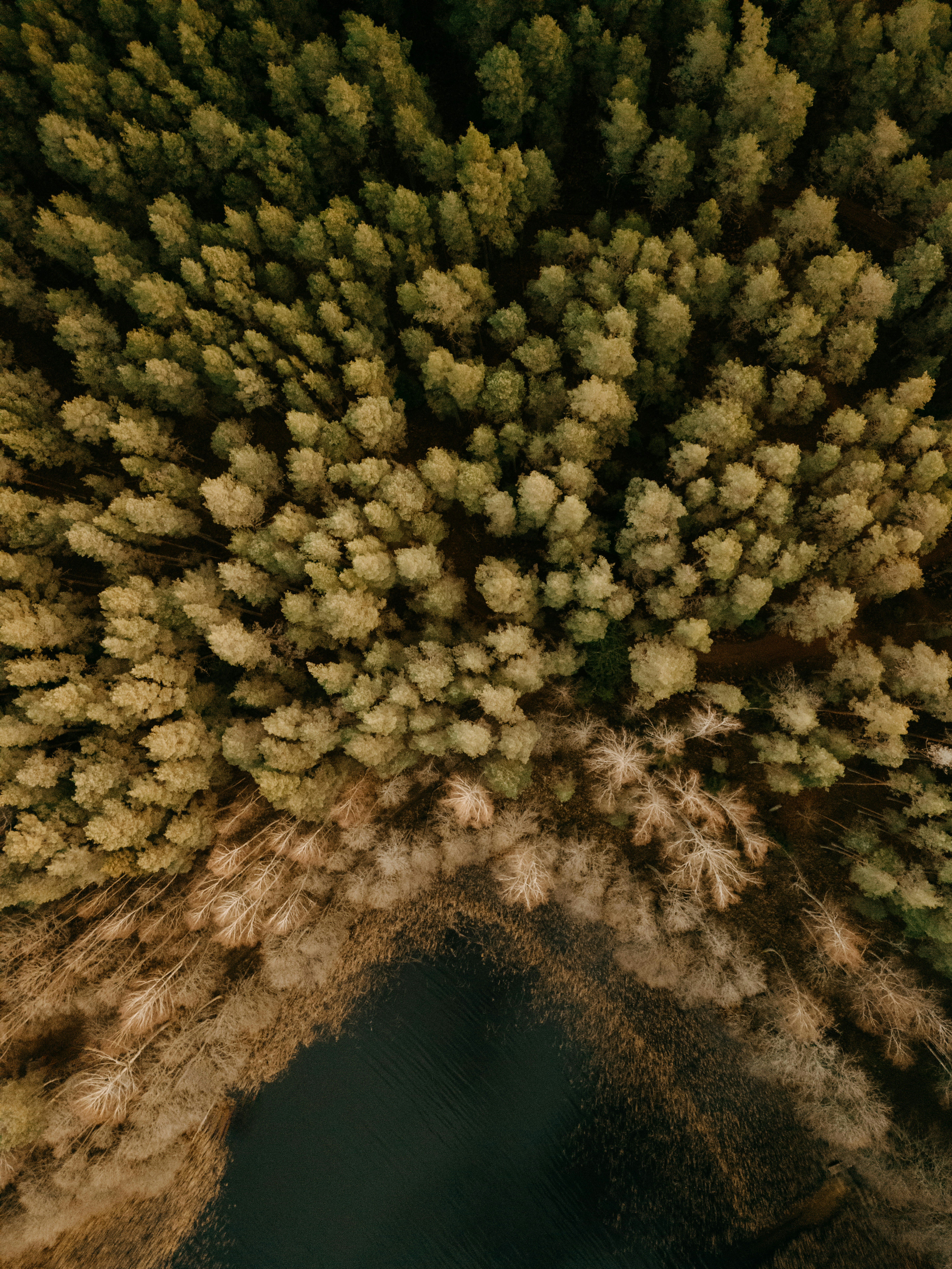 Photo by vilkuaivars