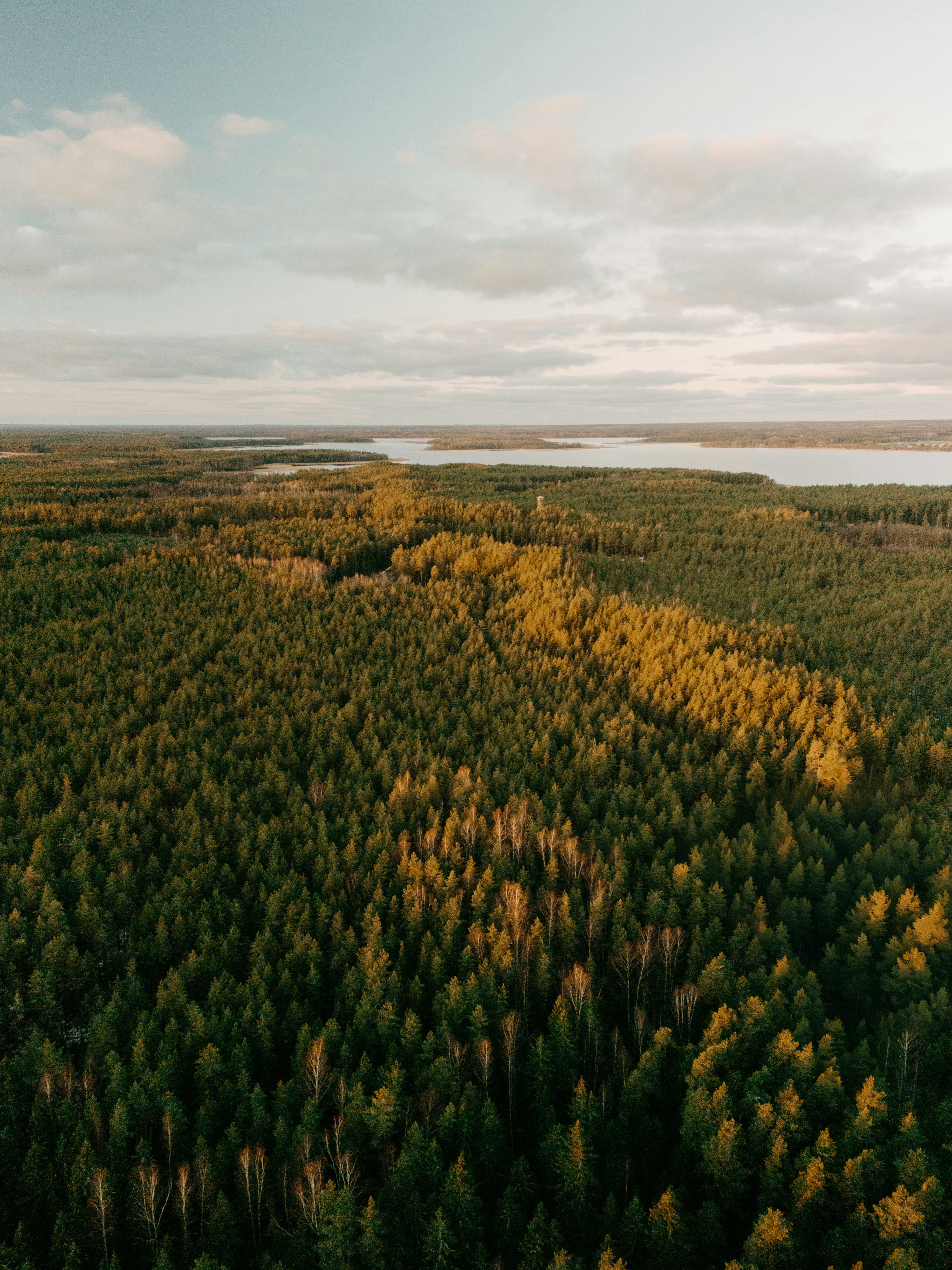 Photo by vilkuaivars