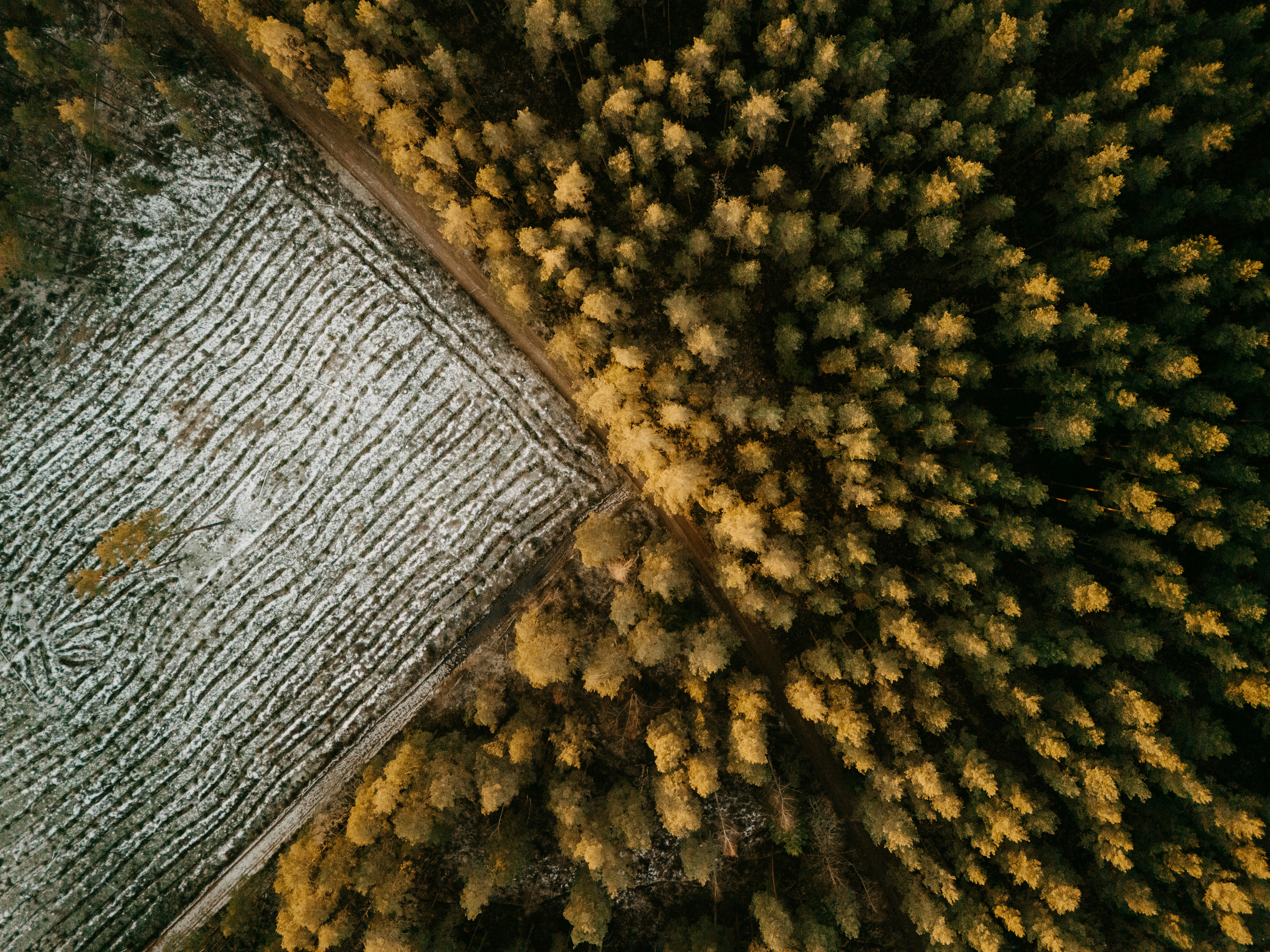 Photo by vilkuaivars