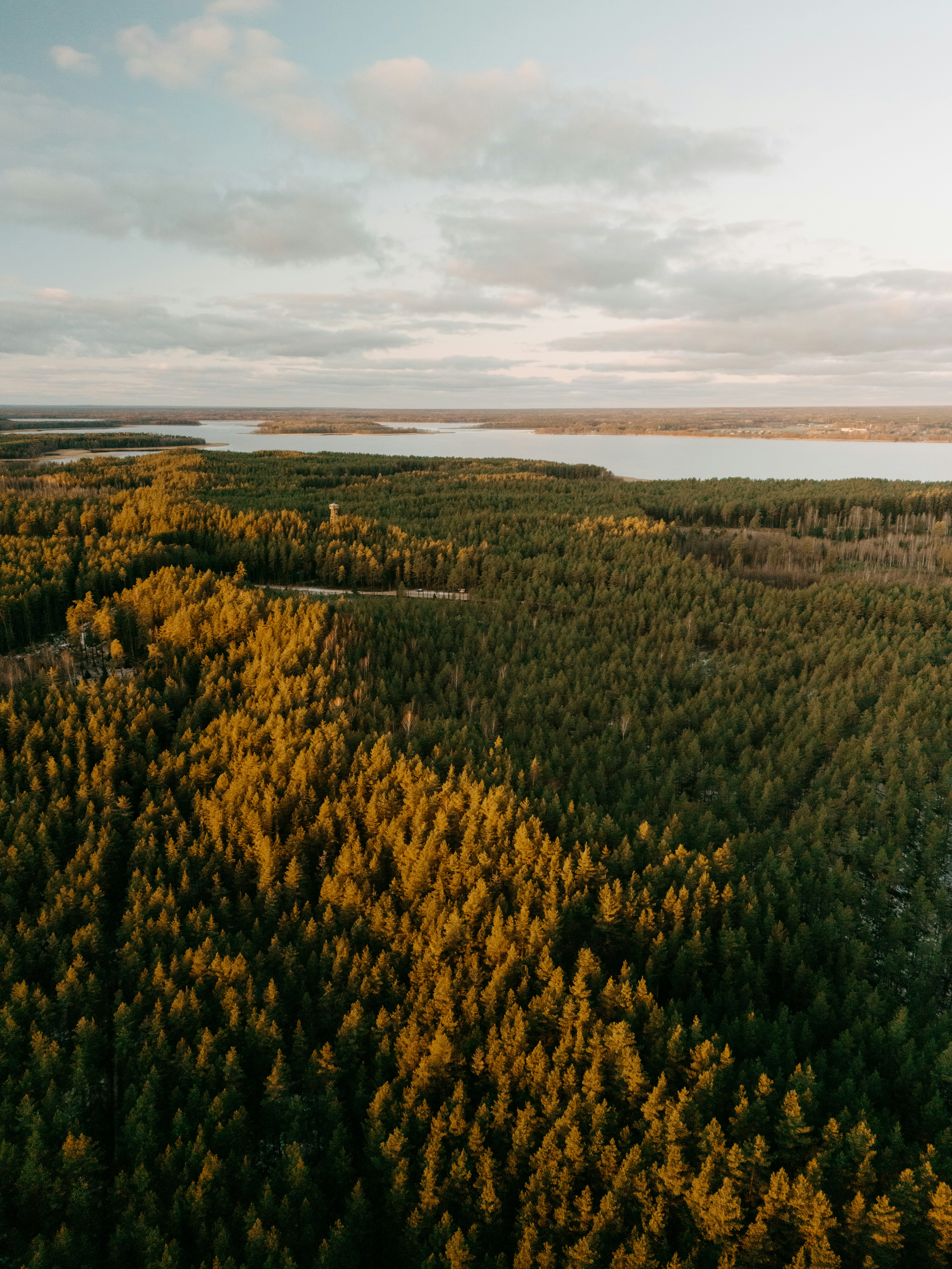 Photo by vilkuaivars