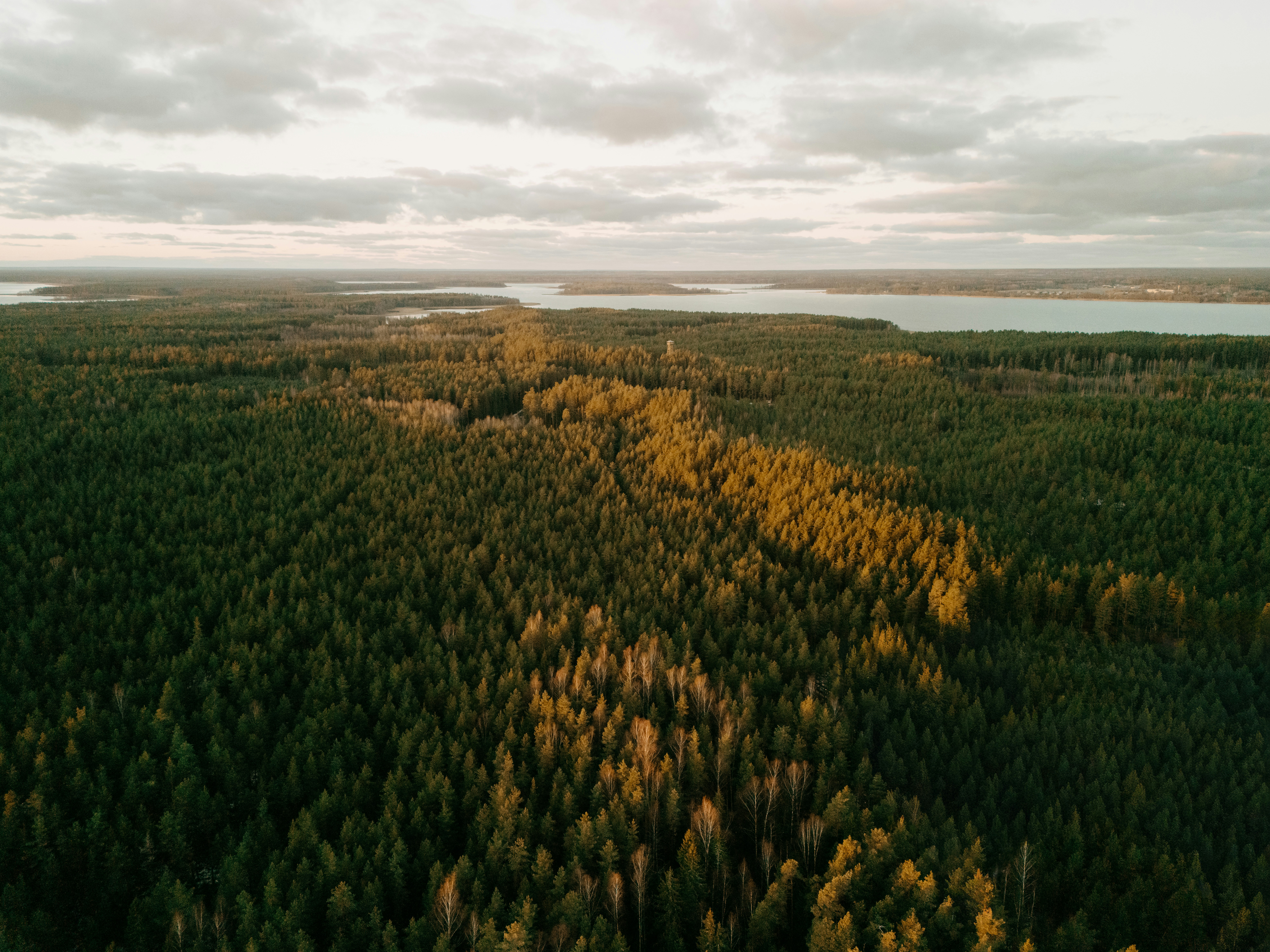 Photo by vilkuaivars