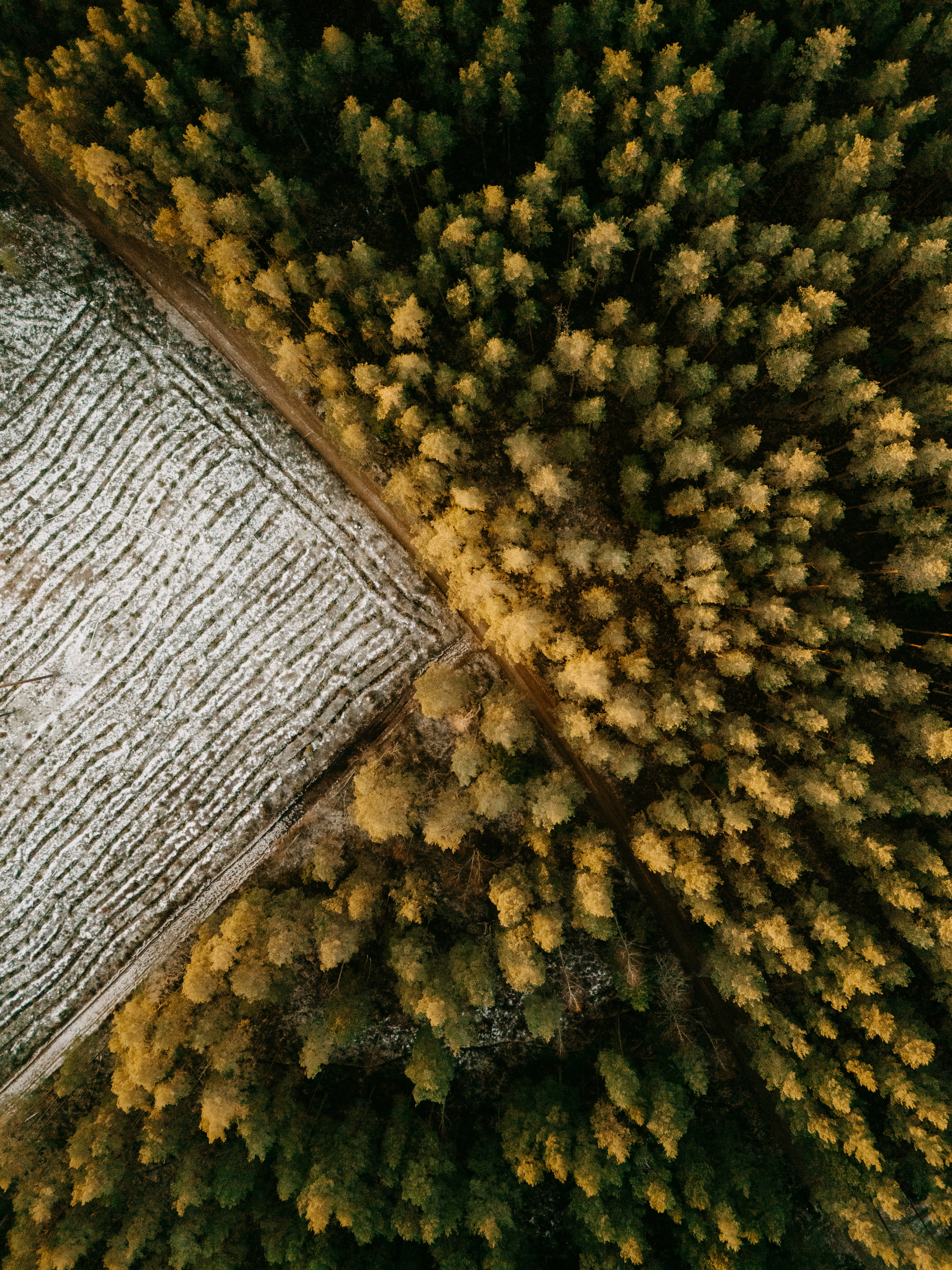 Photo by vilkuaivars