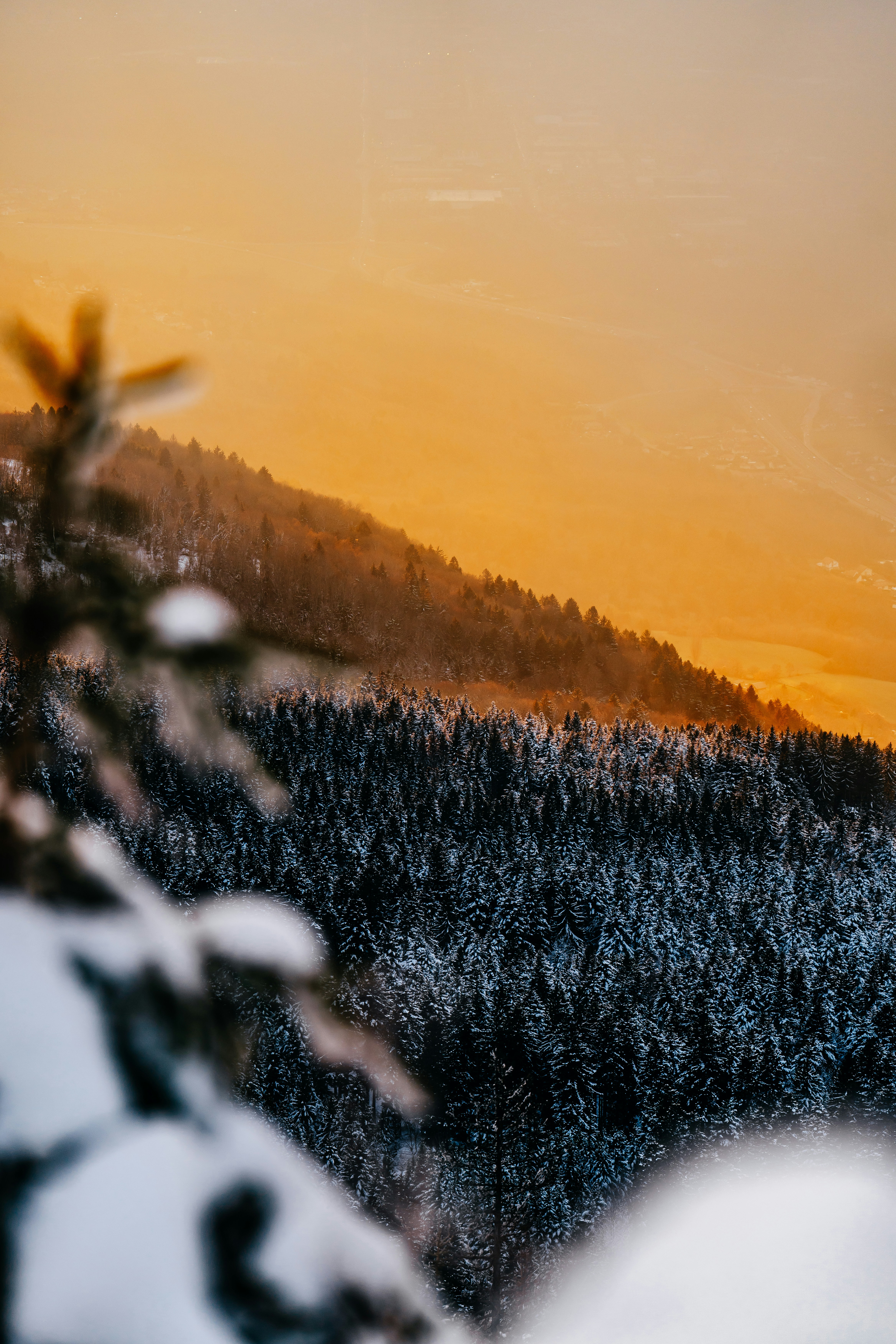 Snow-covered forest under a vibrant orange sunset sky