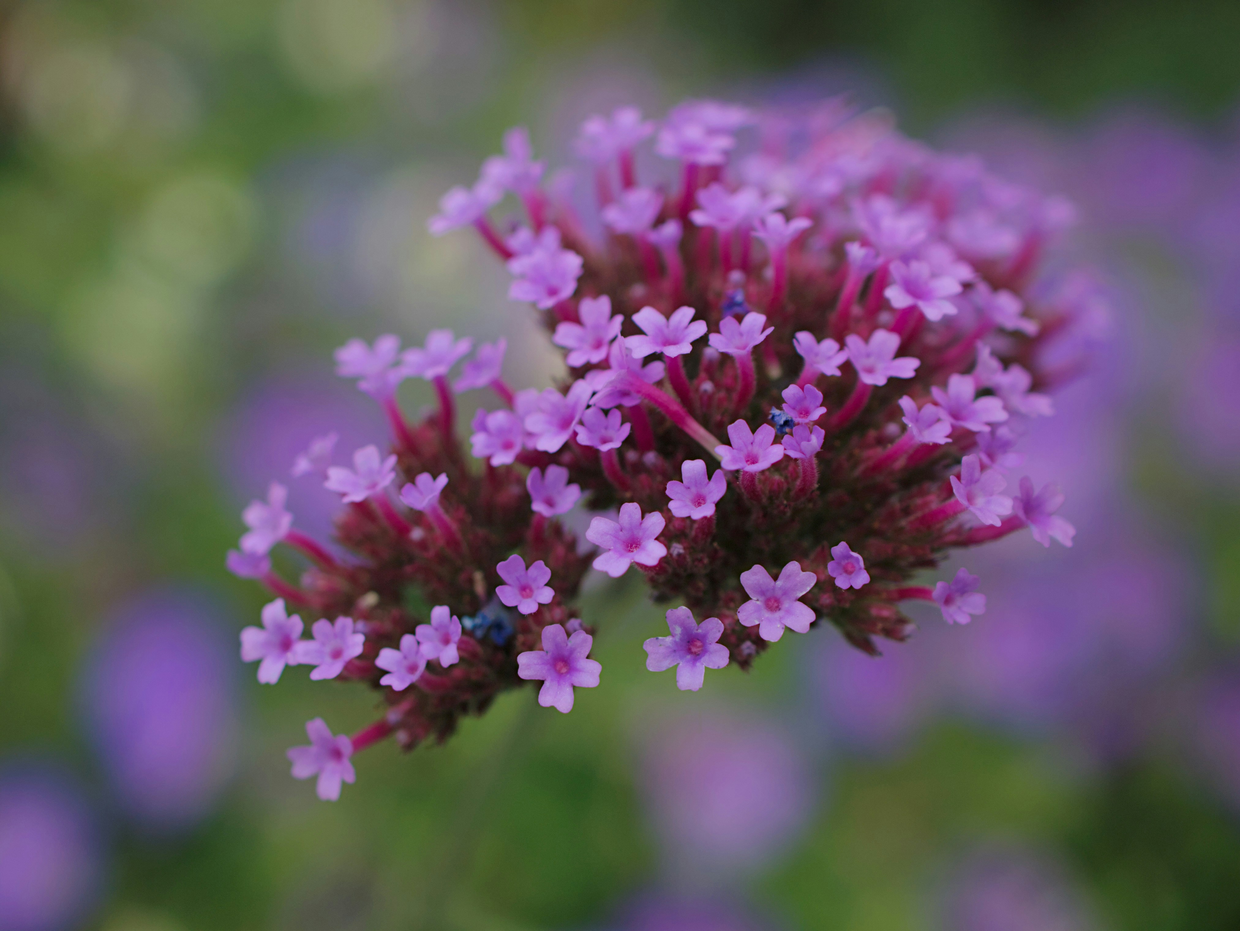 Photo by trousers2000