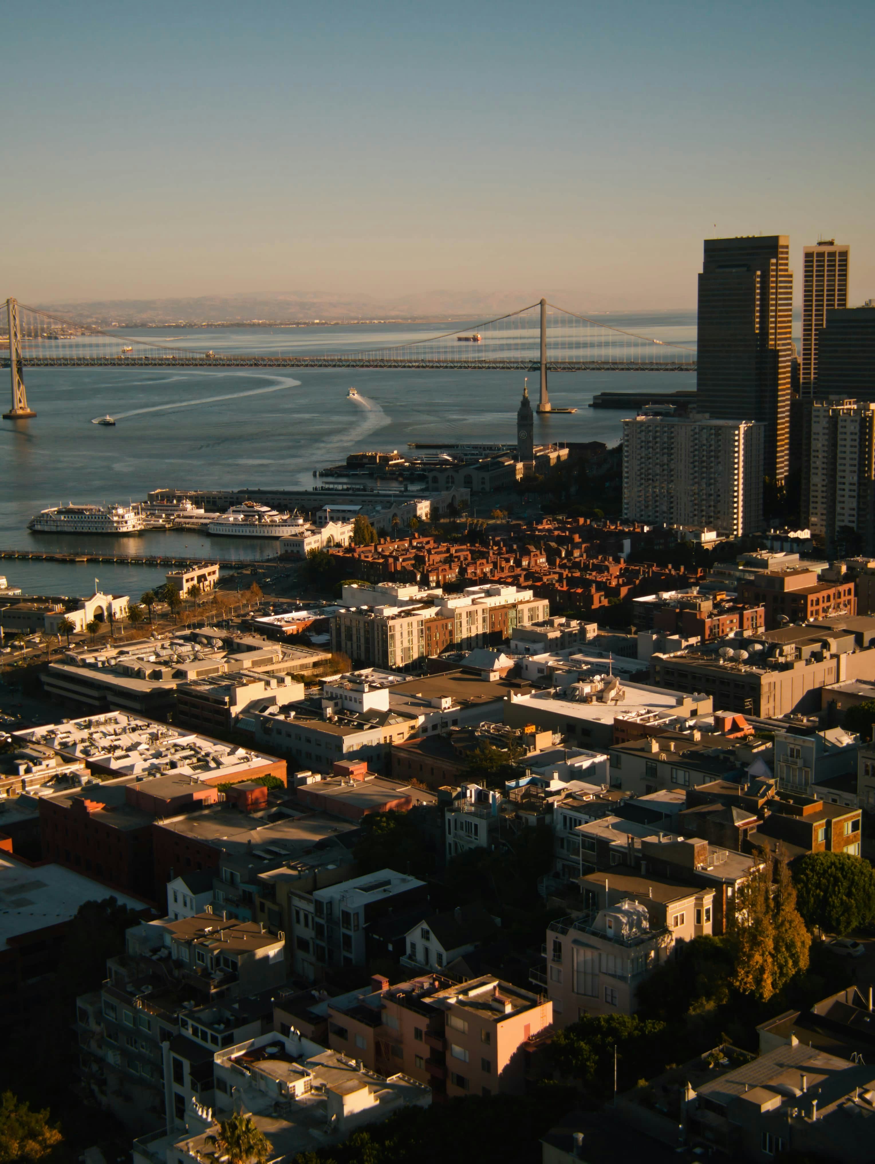 Cityscape overlooking a bay with bridges and boats