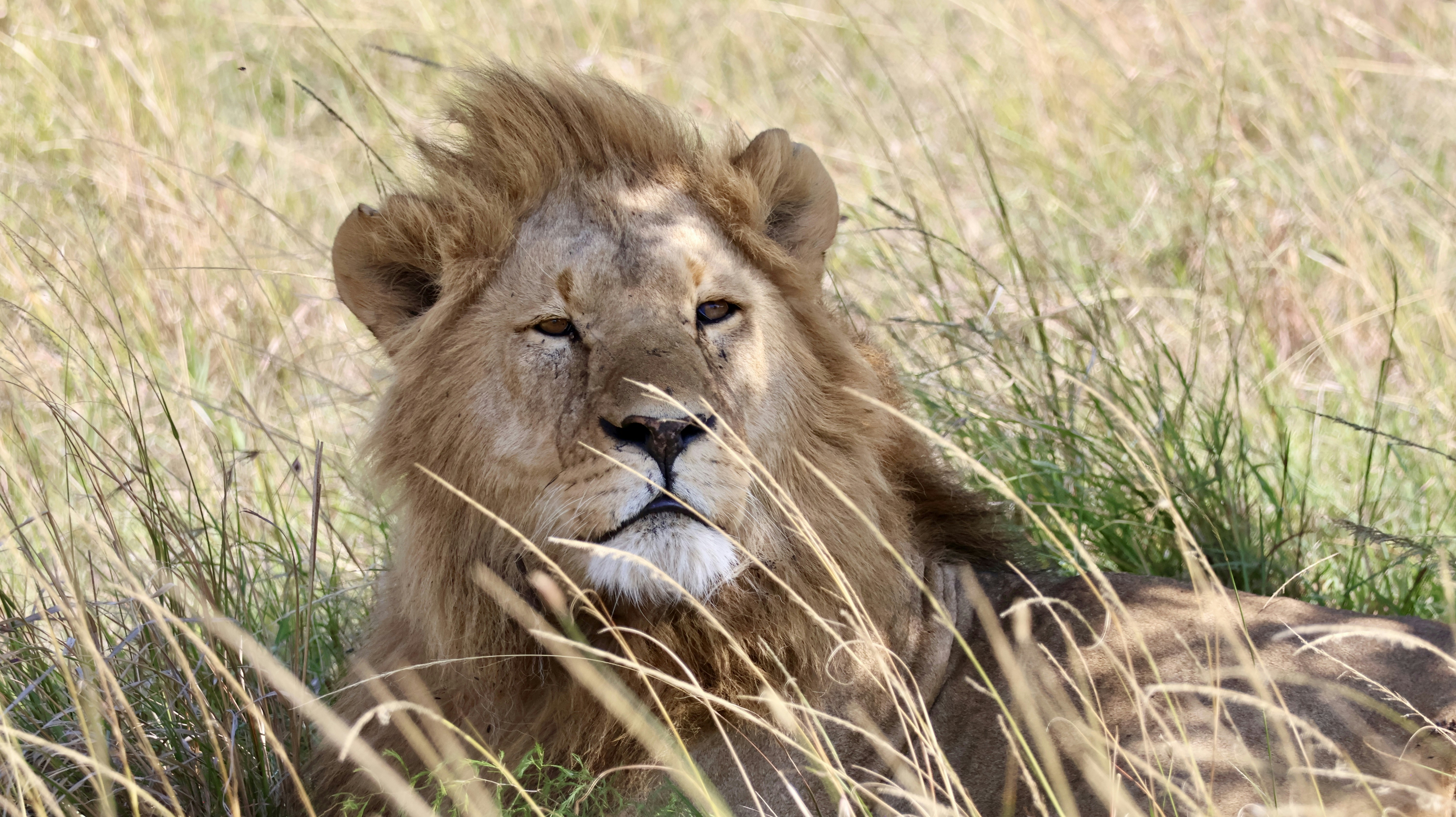 Photo by john_cameron