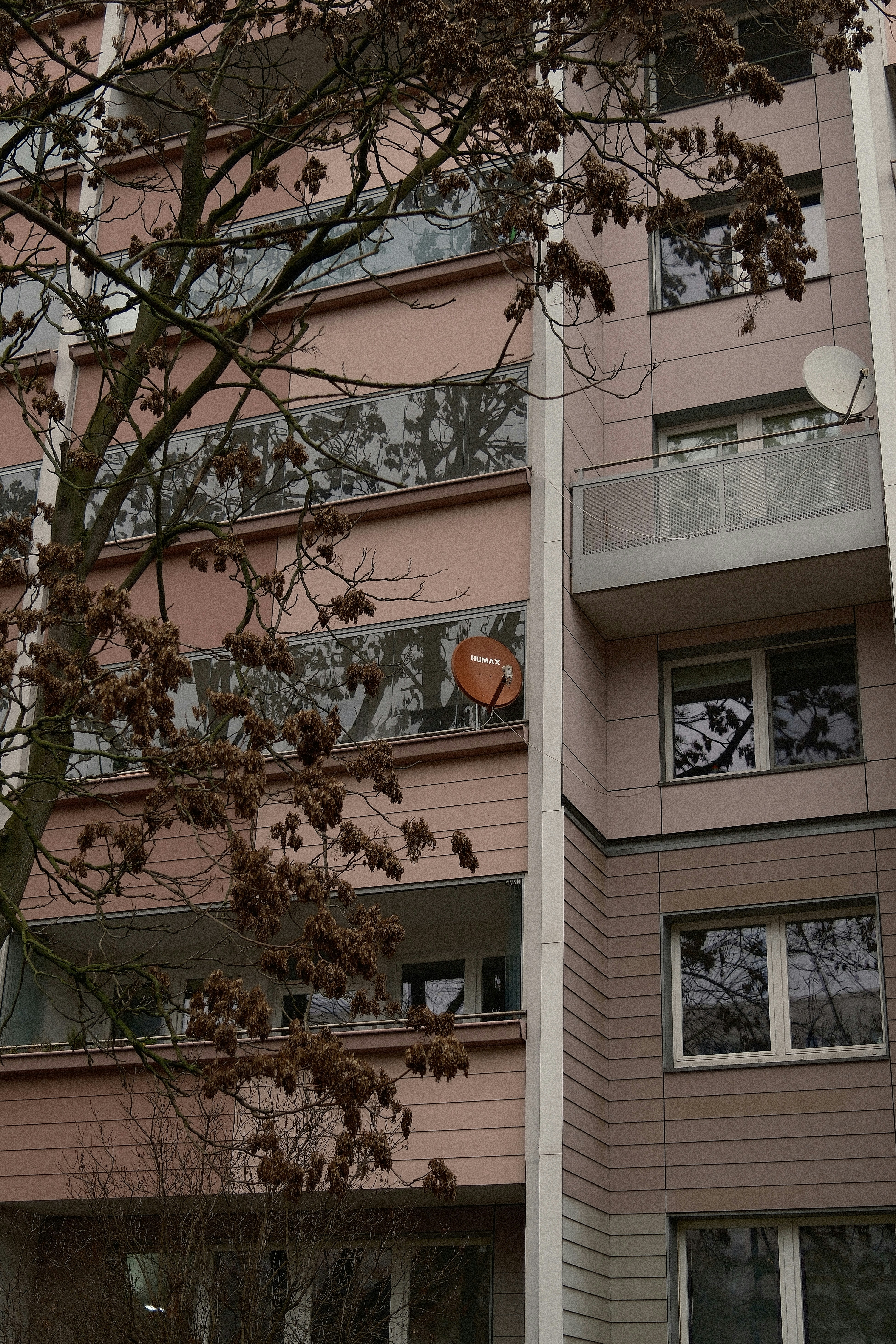 A pink apartment building with a bare tree branch.