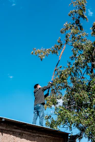 Man on roof trimming tree branches with pole saw