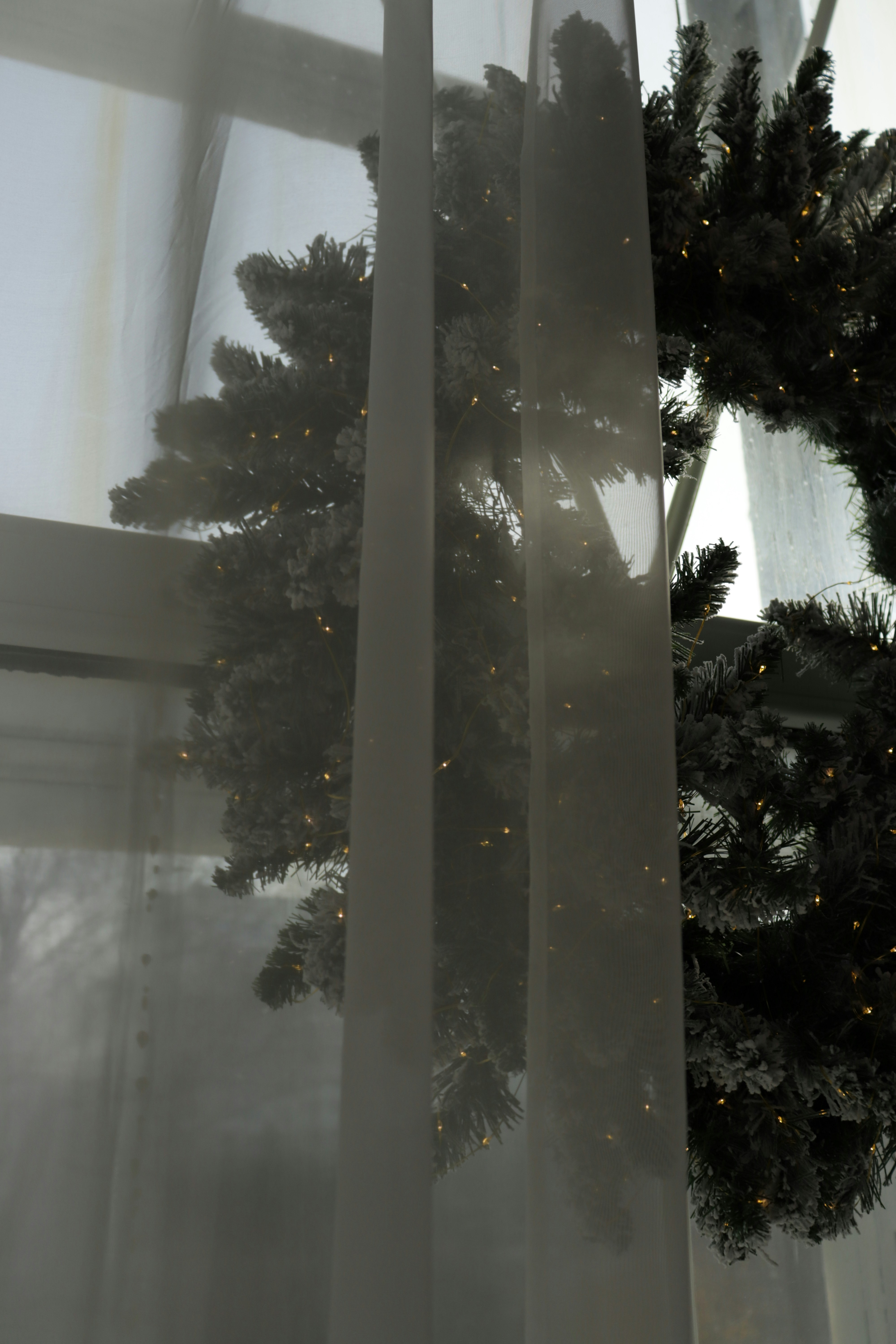 Photo by bored_mongoose