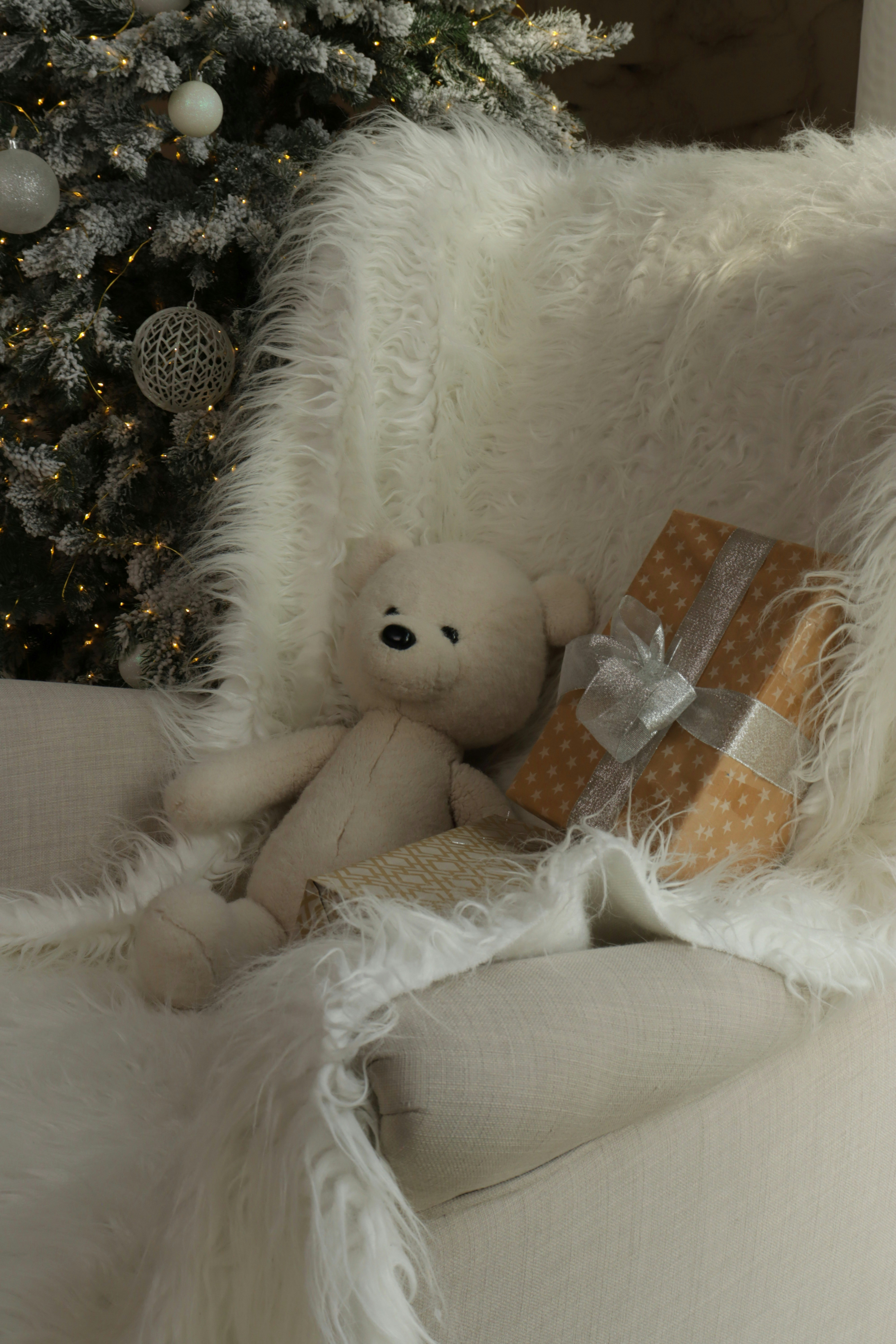 Photo by bored_mongoose