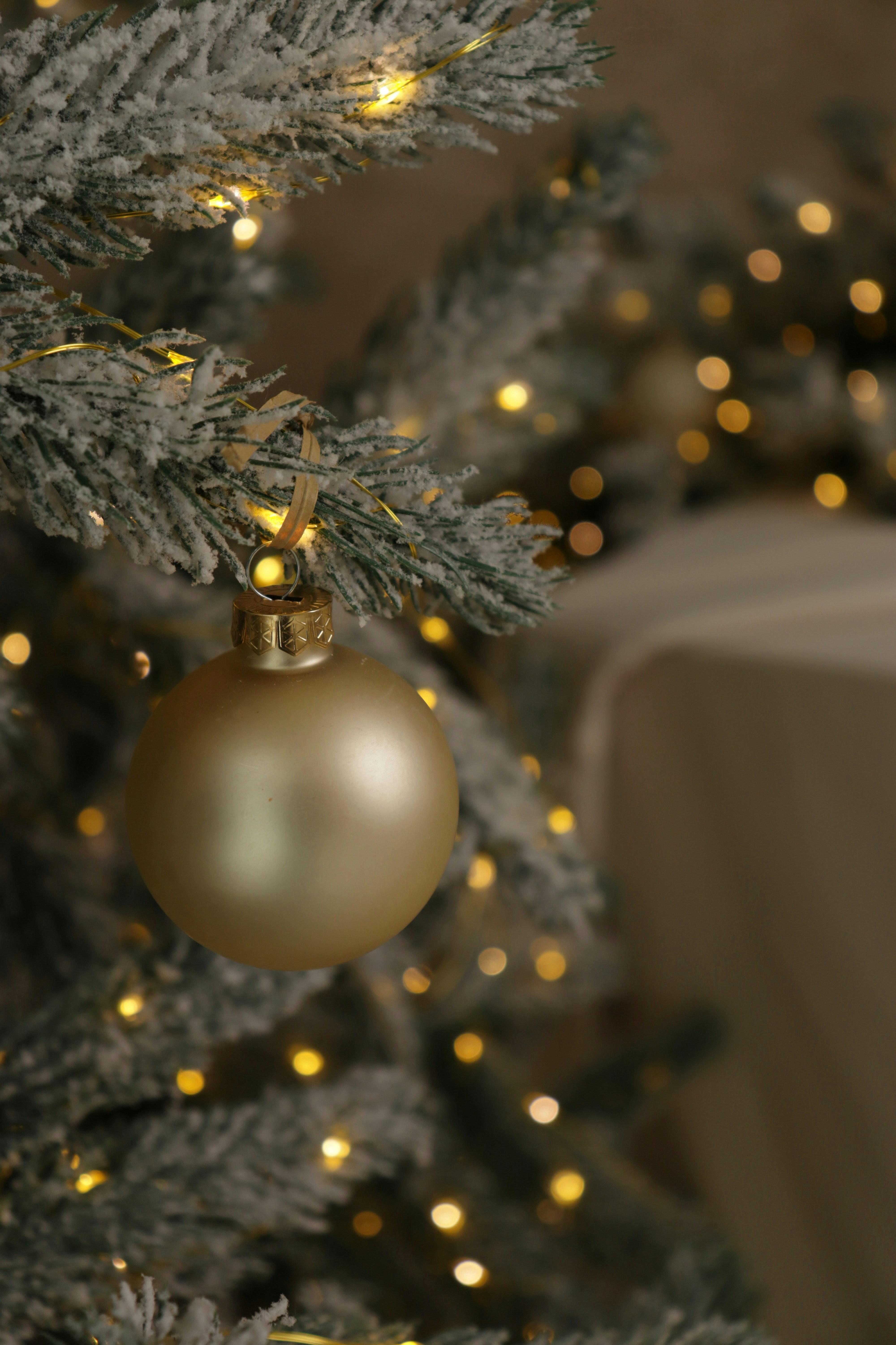 Photo by bored_mongoose