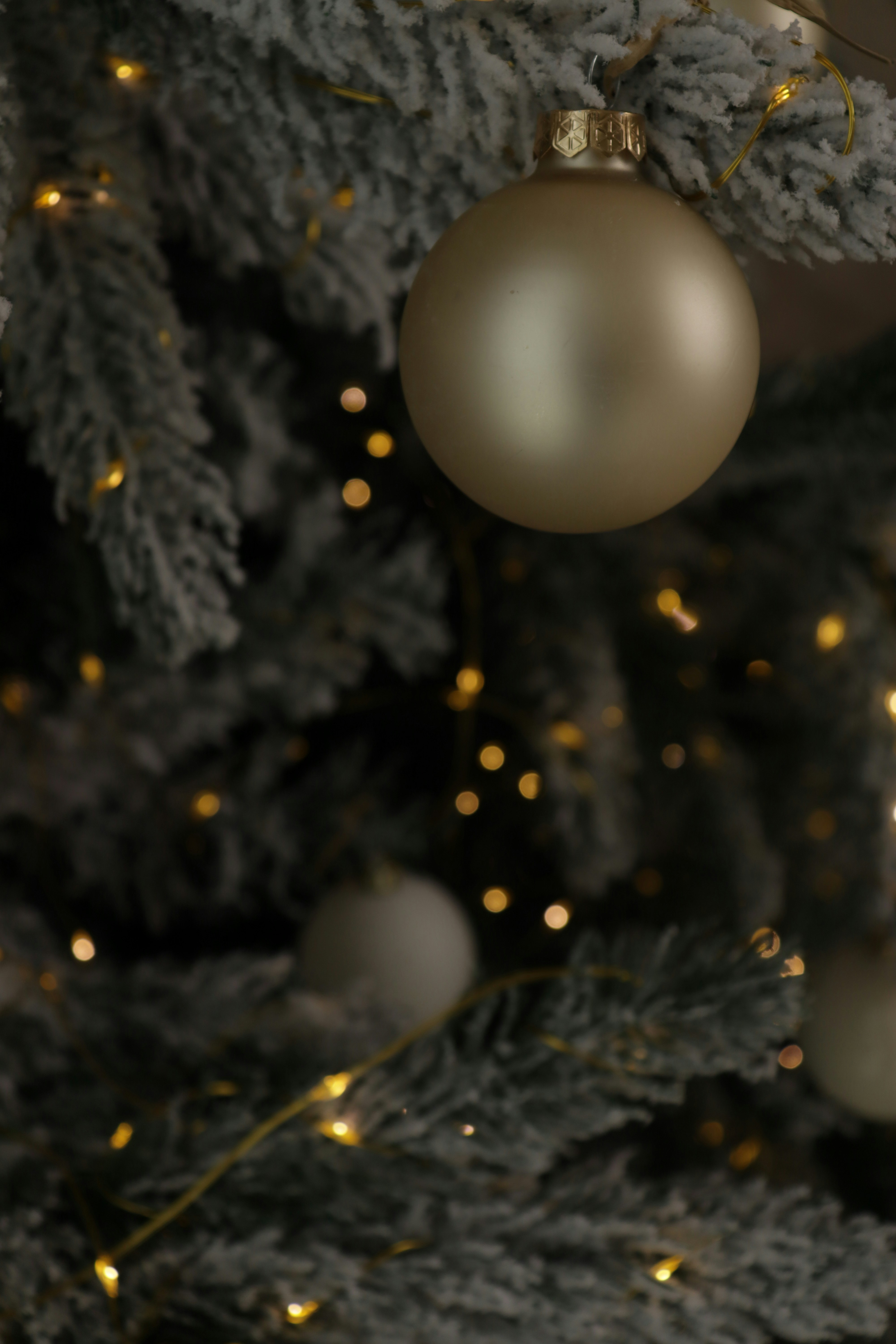 Photo by bored_mongoose