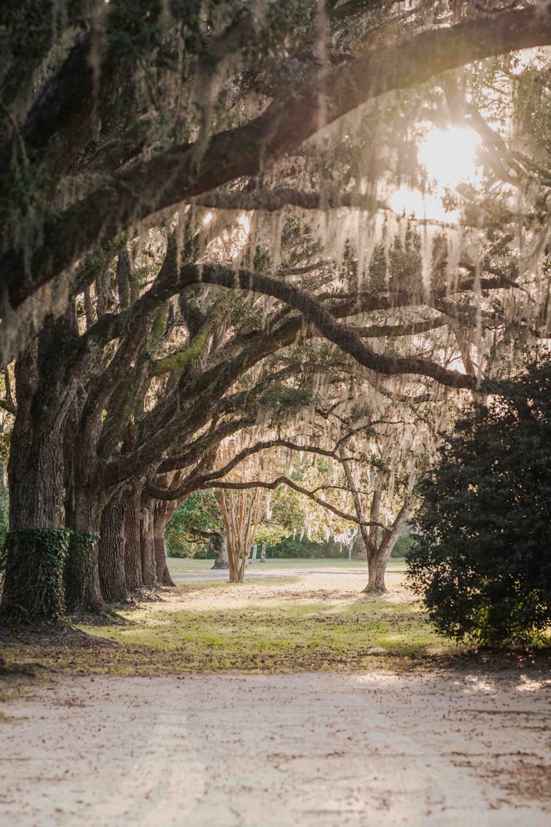 Tallahassee