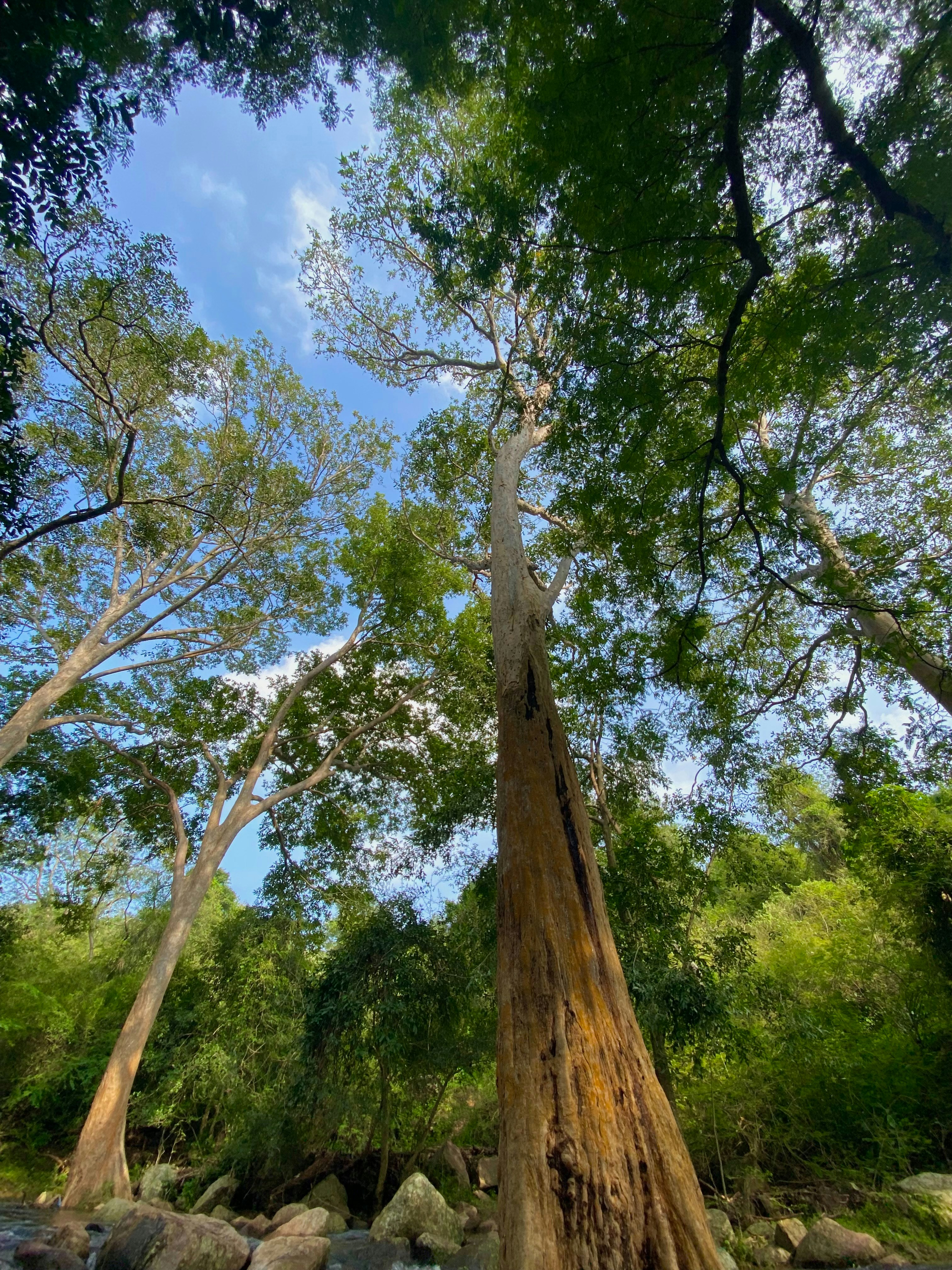 Photo by aravindworld