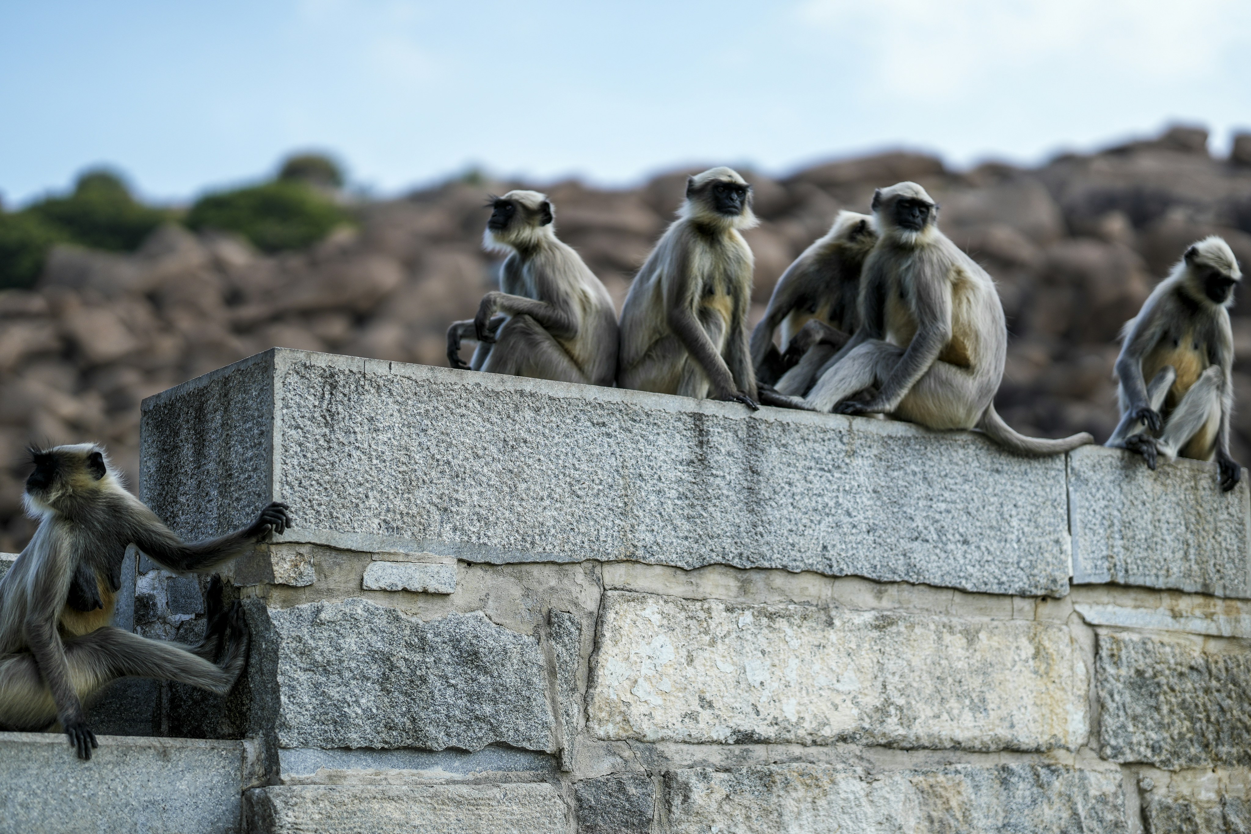 Photo by prakashraophotography