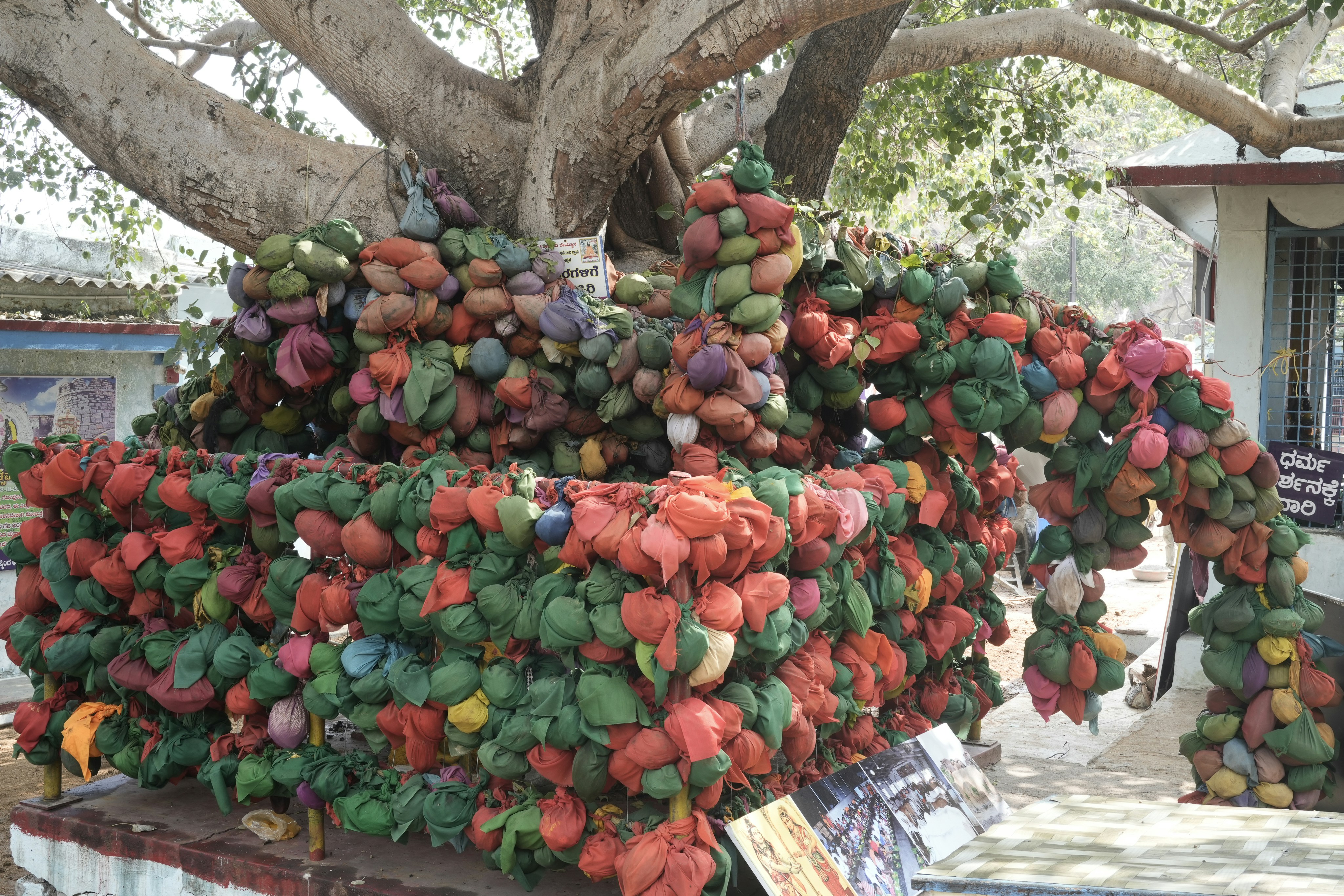 色とりどりの供物で飾られた大きな木