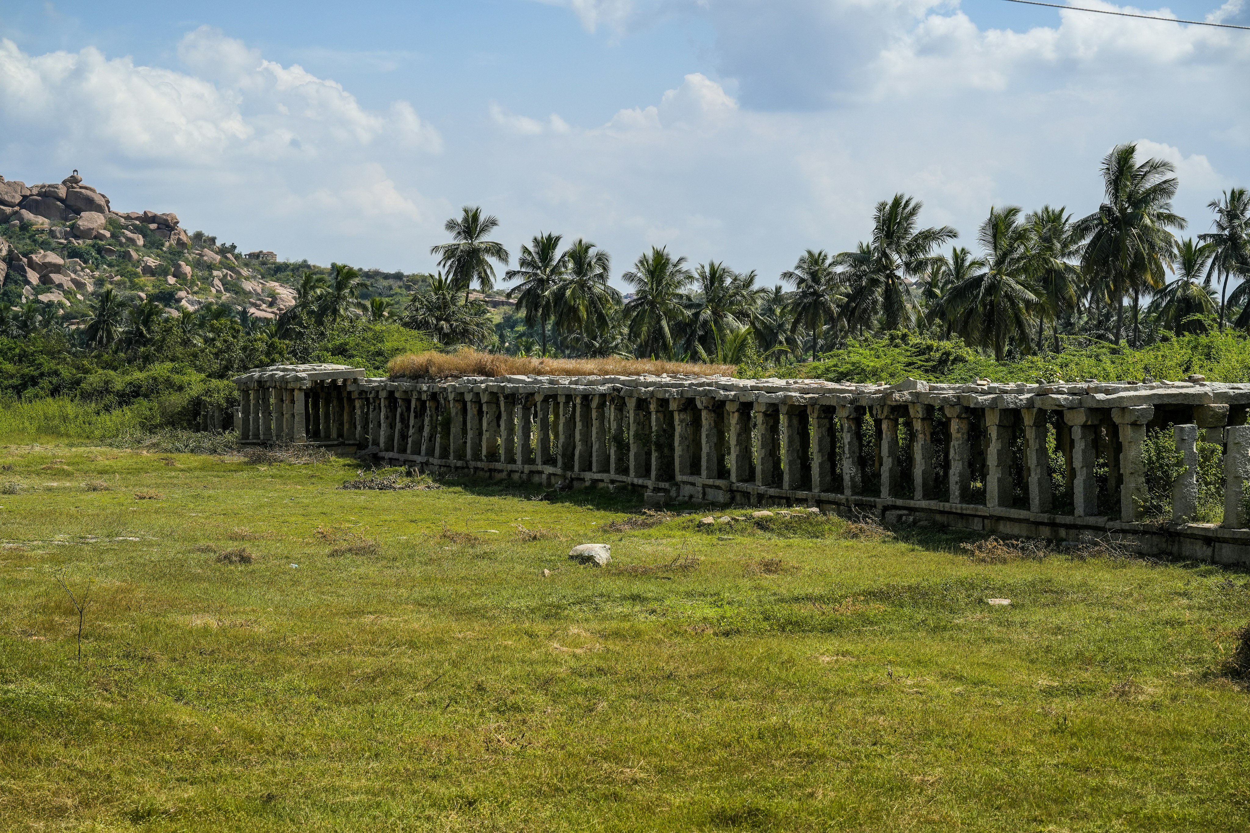 Ancient stone pillars line a grassy field under palm trees