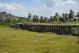 Ancient stone pillars line a grassy field under palm trees.