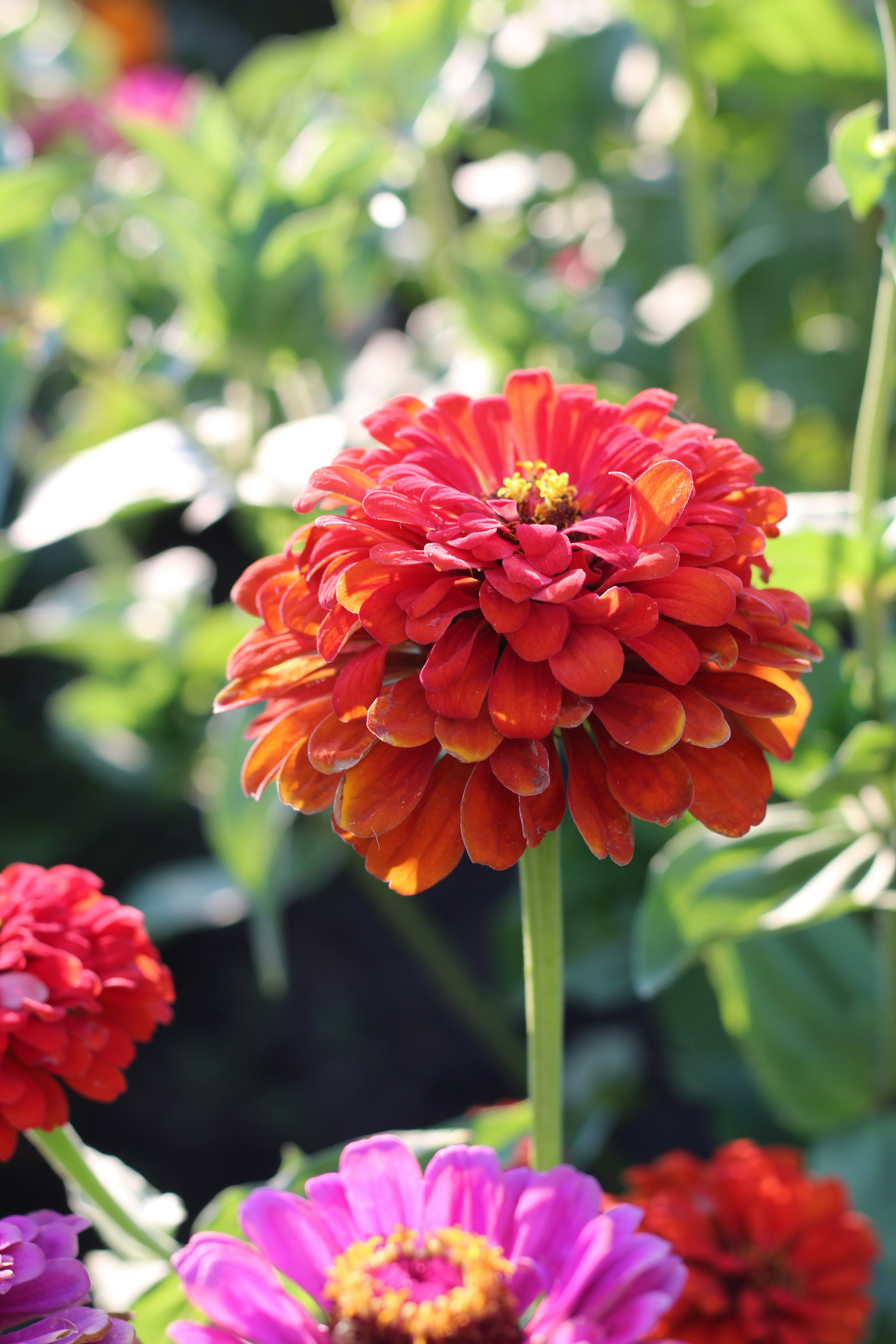 Photo by marina_yalanska