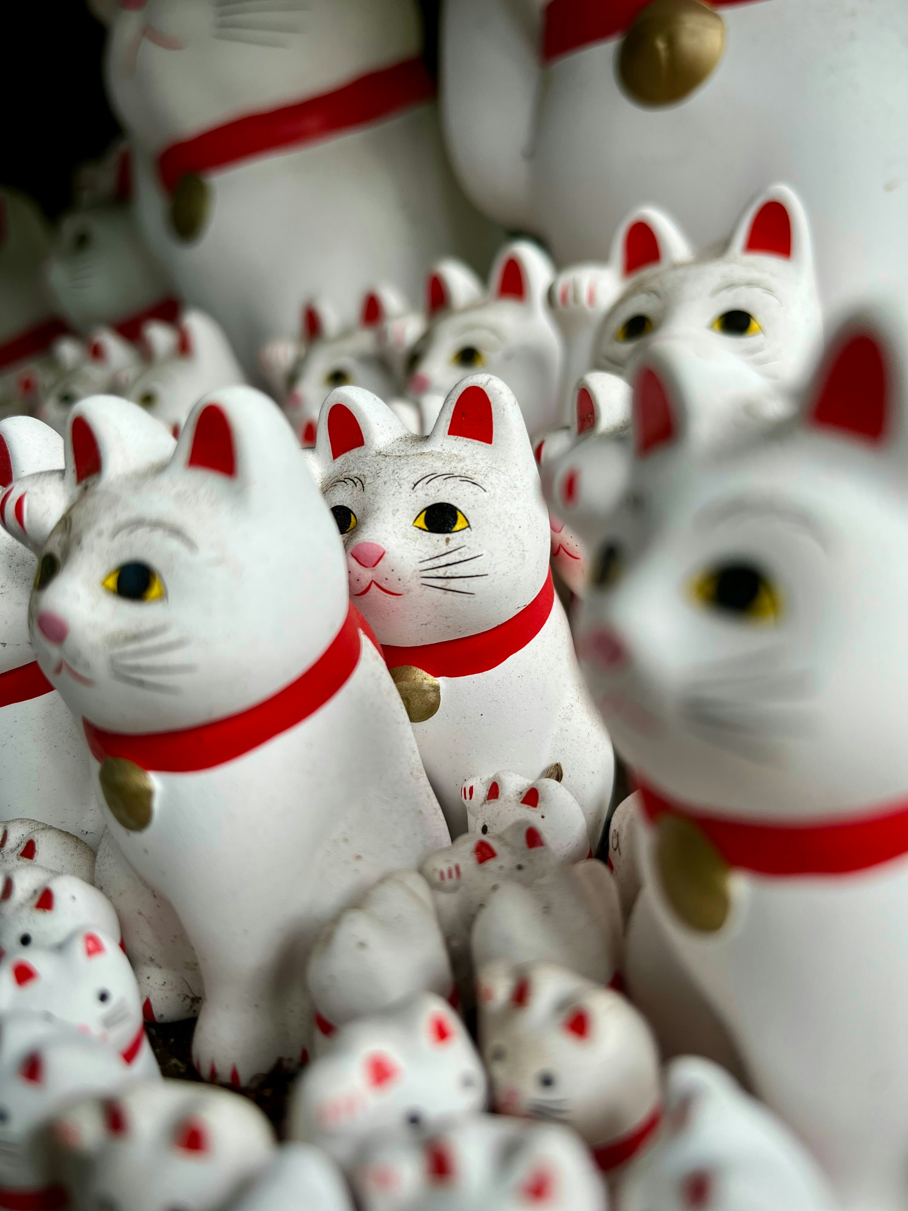 Photo by maksimplekhanov