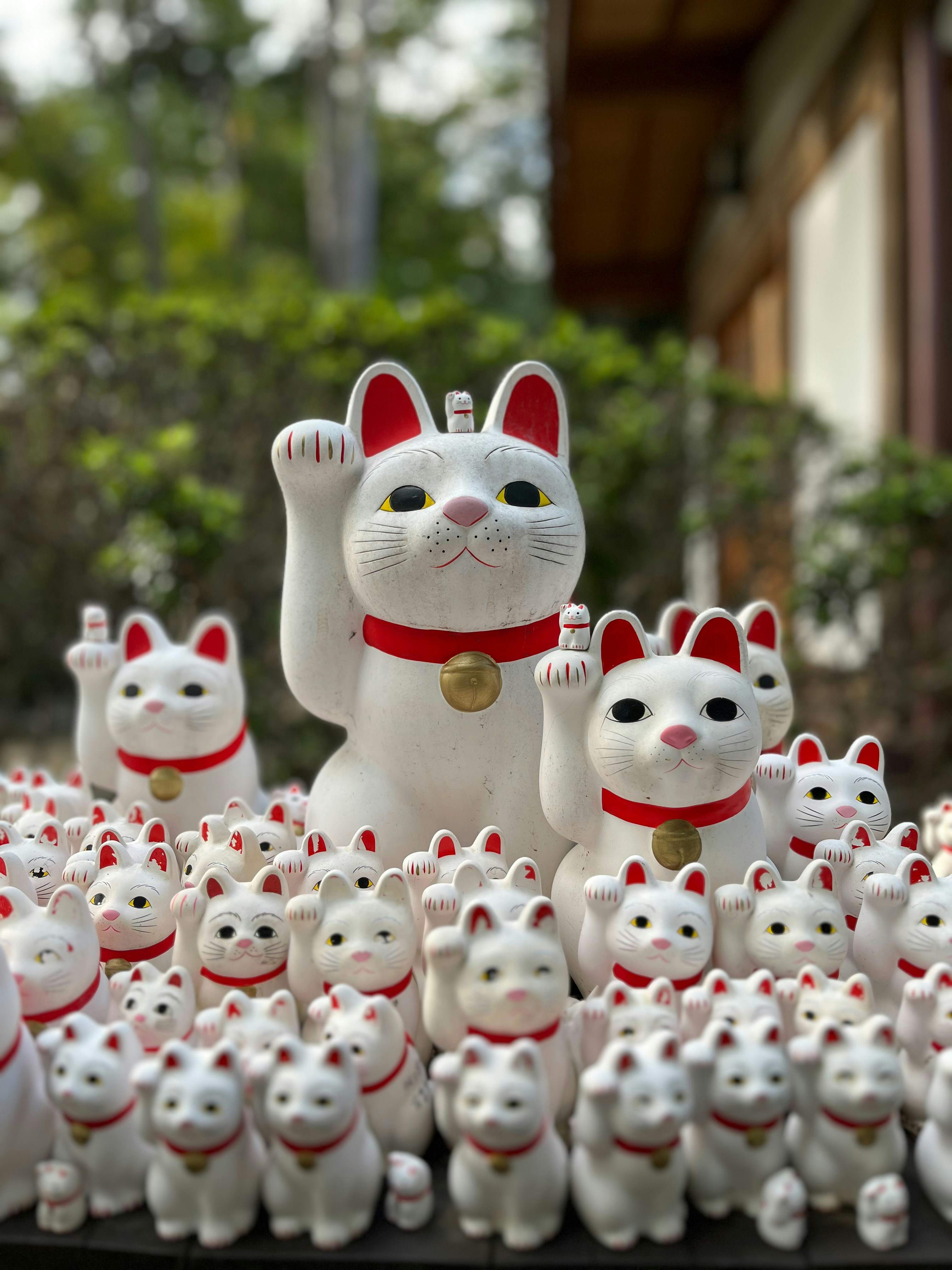 Photo by maksimplekhanov