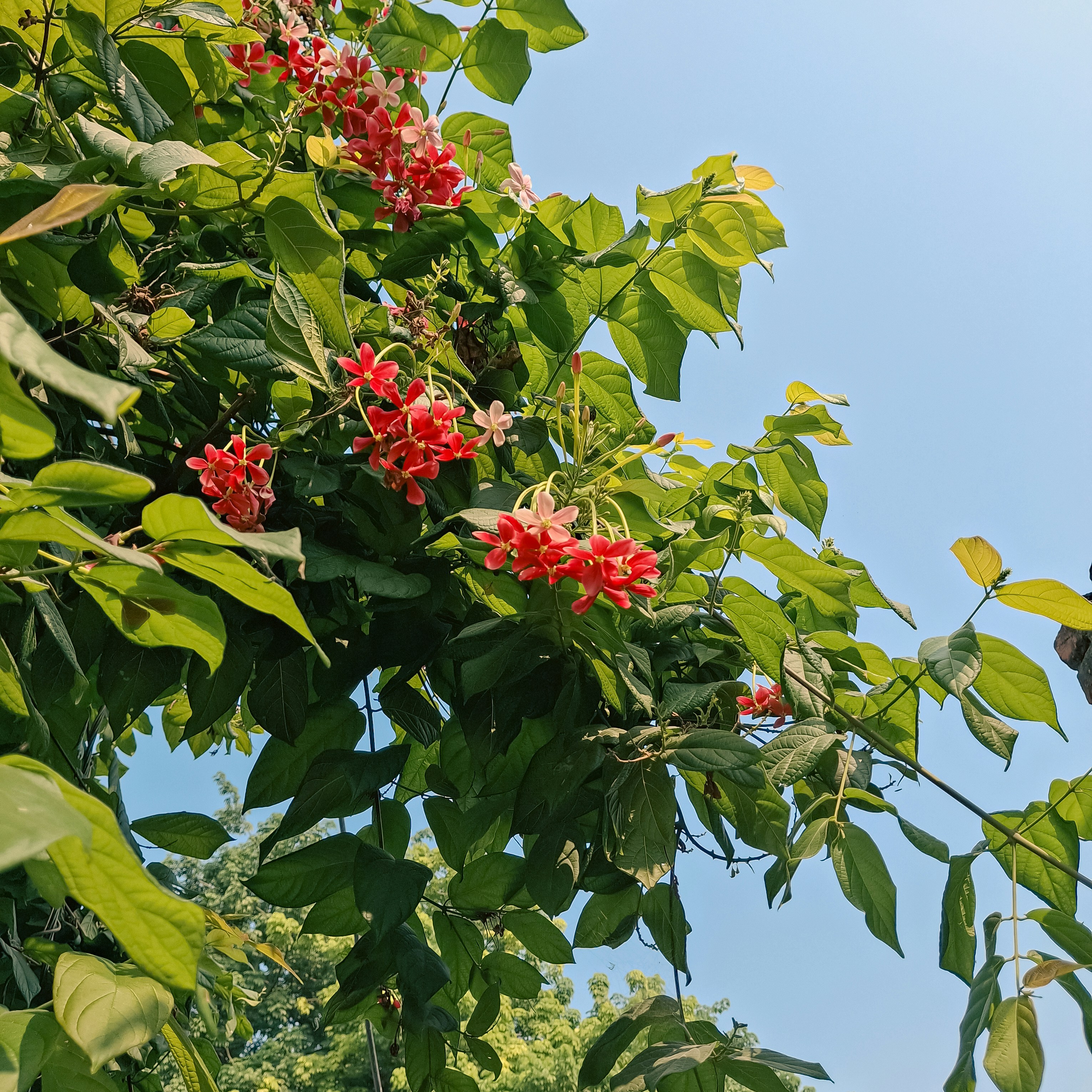 Photo by prasunmishra1