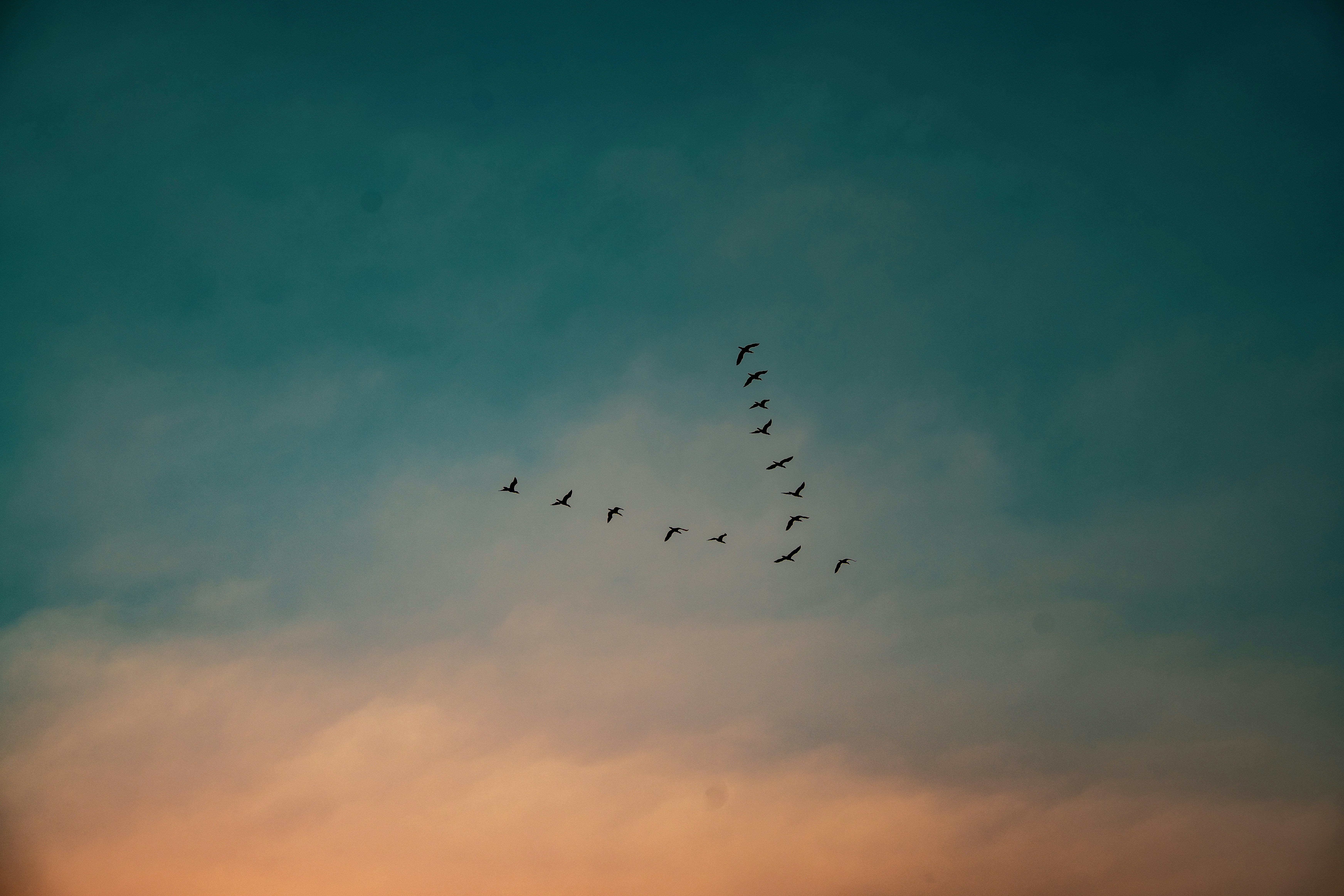 Photo by luanfonsecavisuals