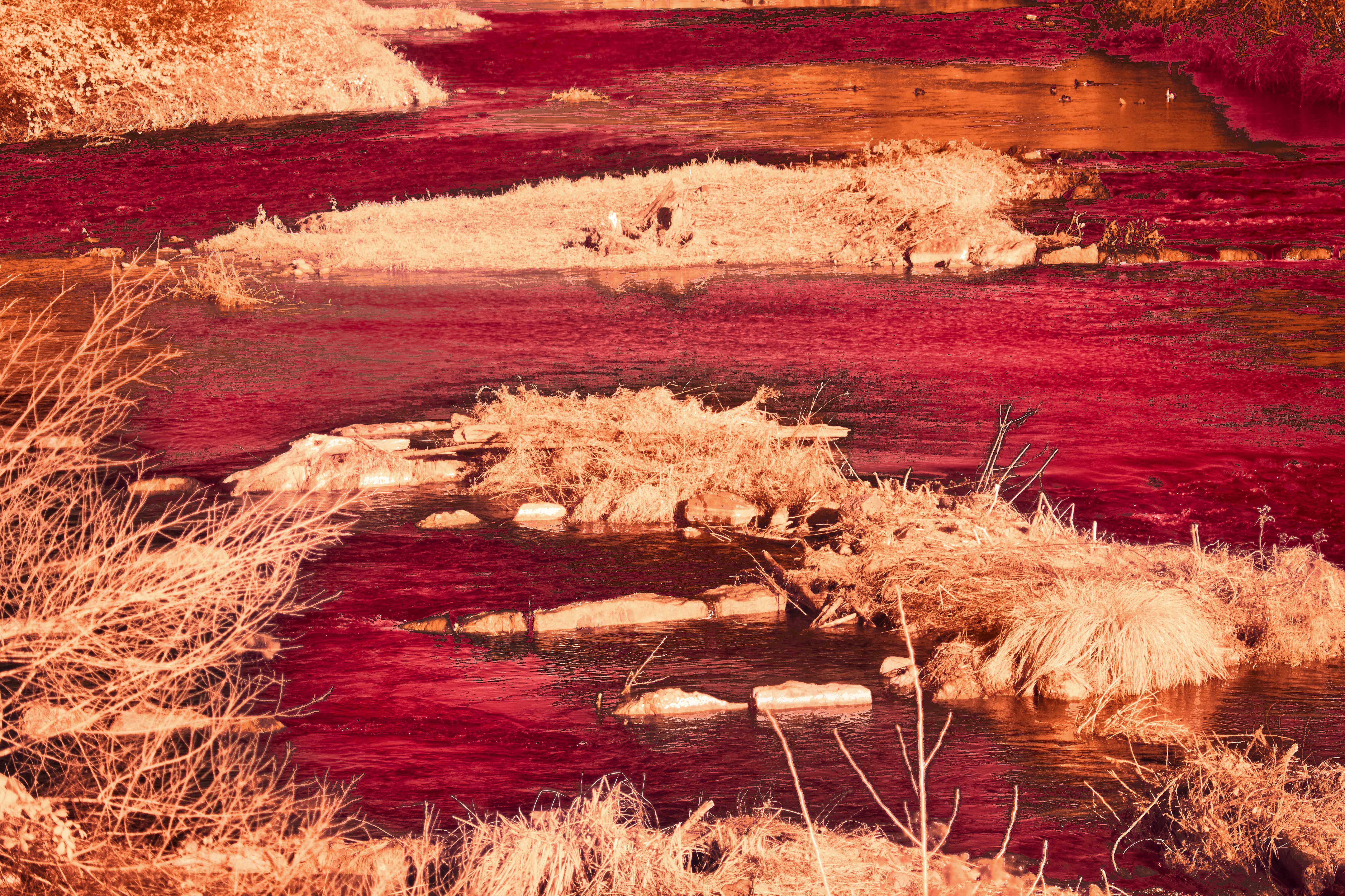 Photo by wolfgang_hasselmann