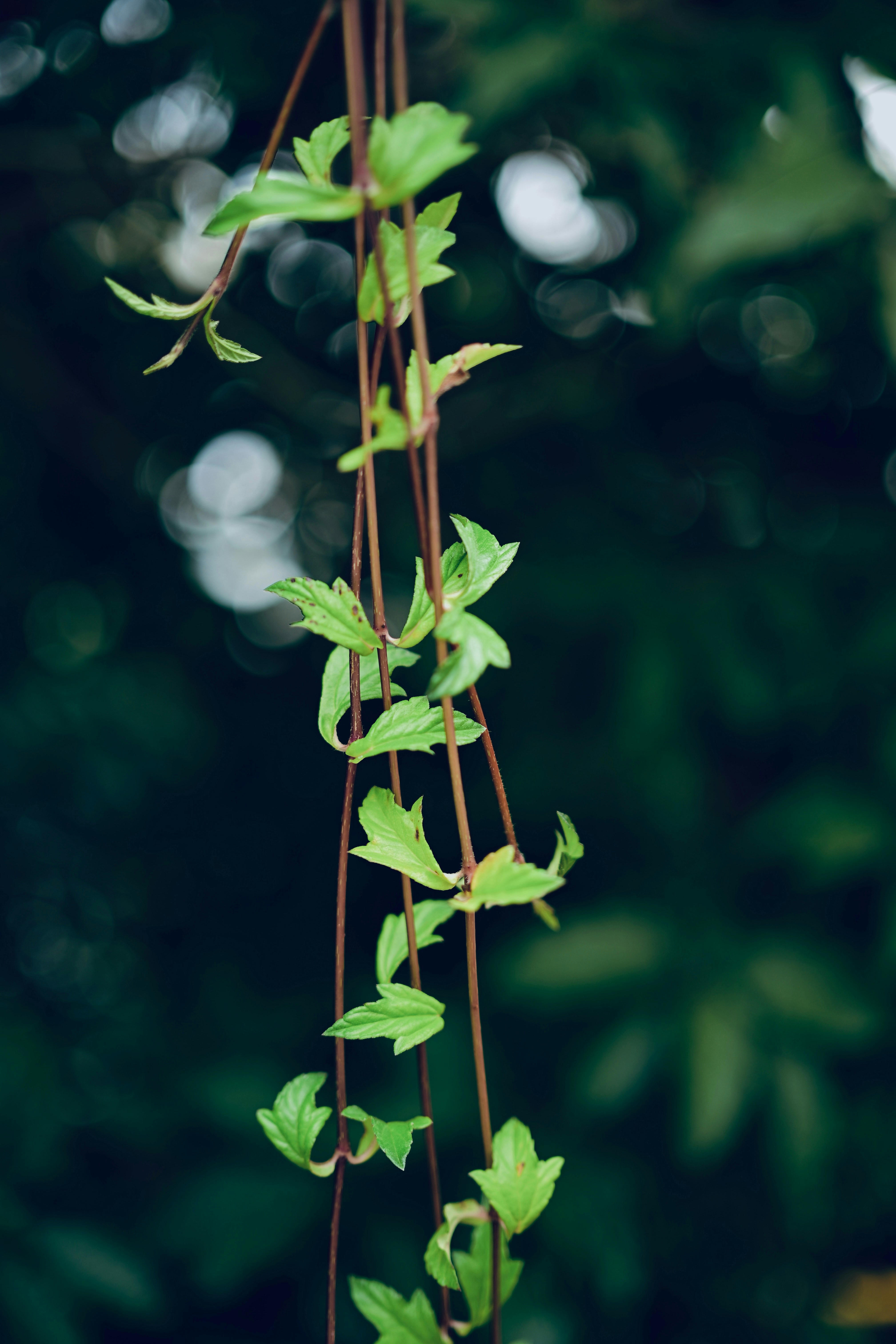 Photo by rrajputphotography