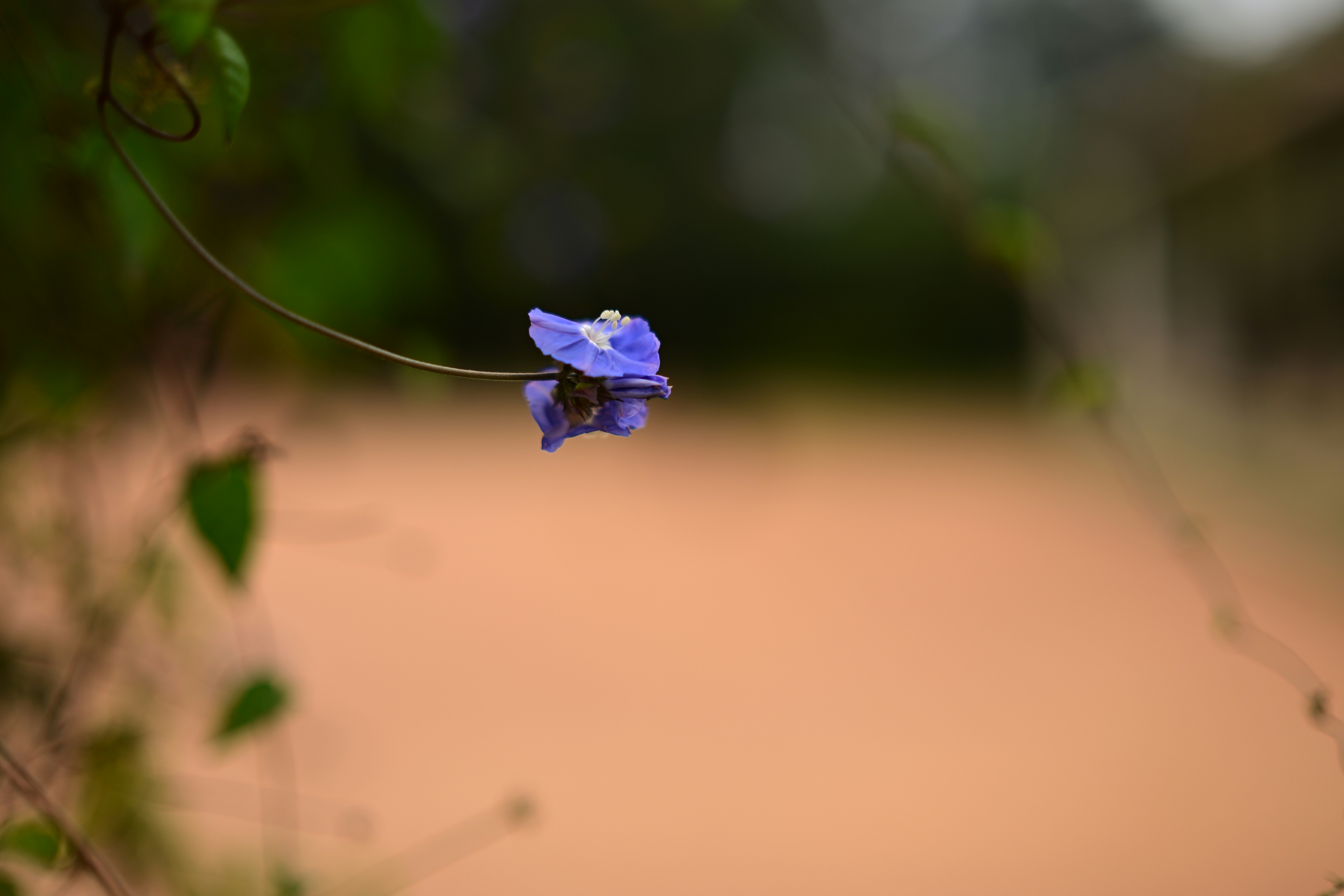 Photo by rrajputphotography