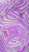 Motion Graphics