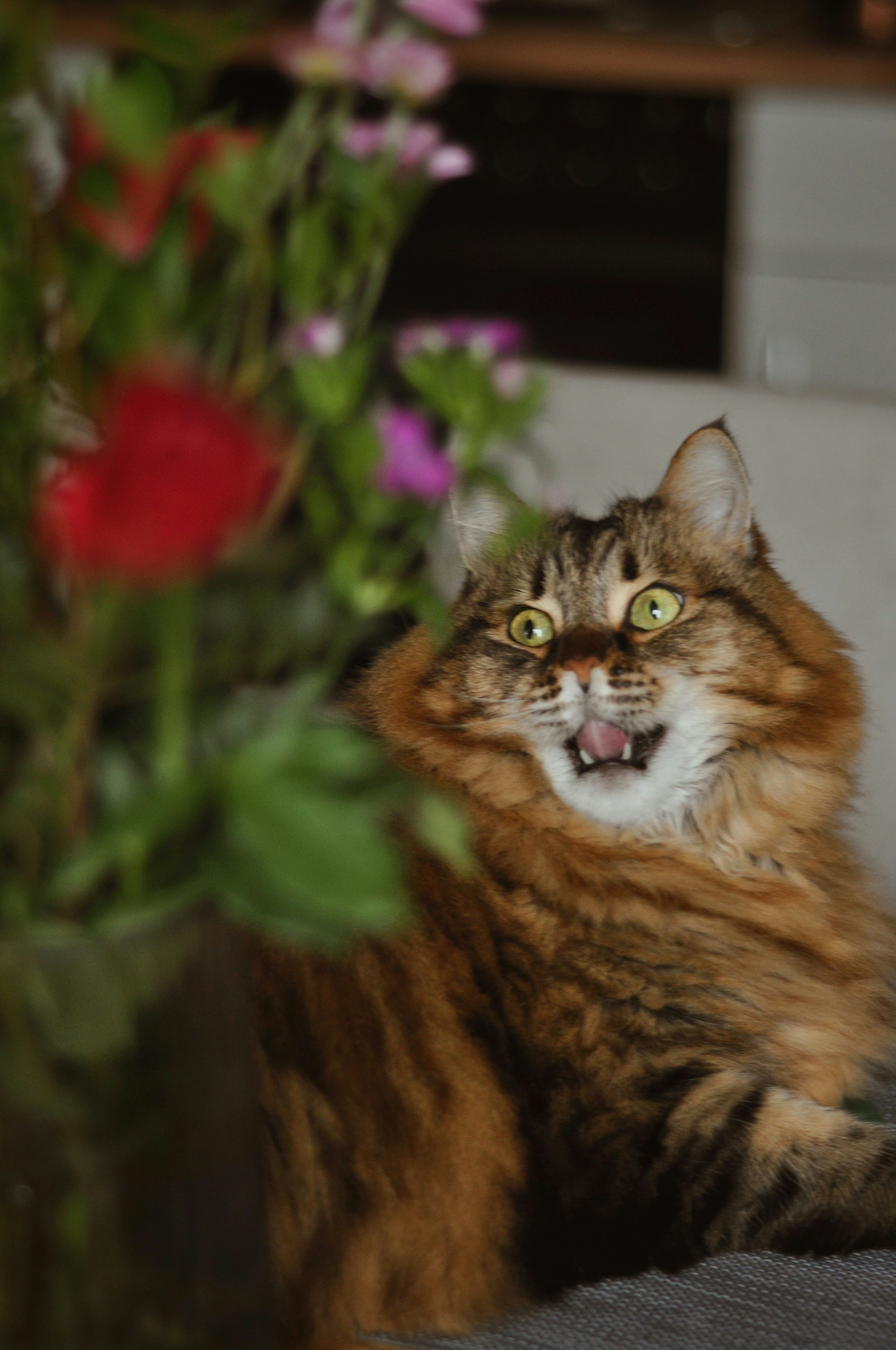 Photo by gorchinska88