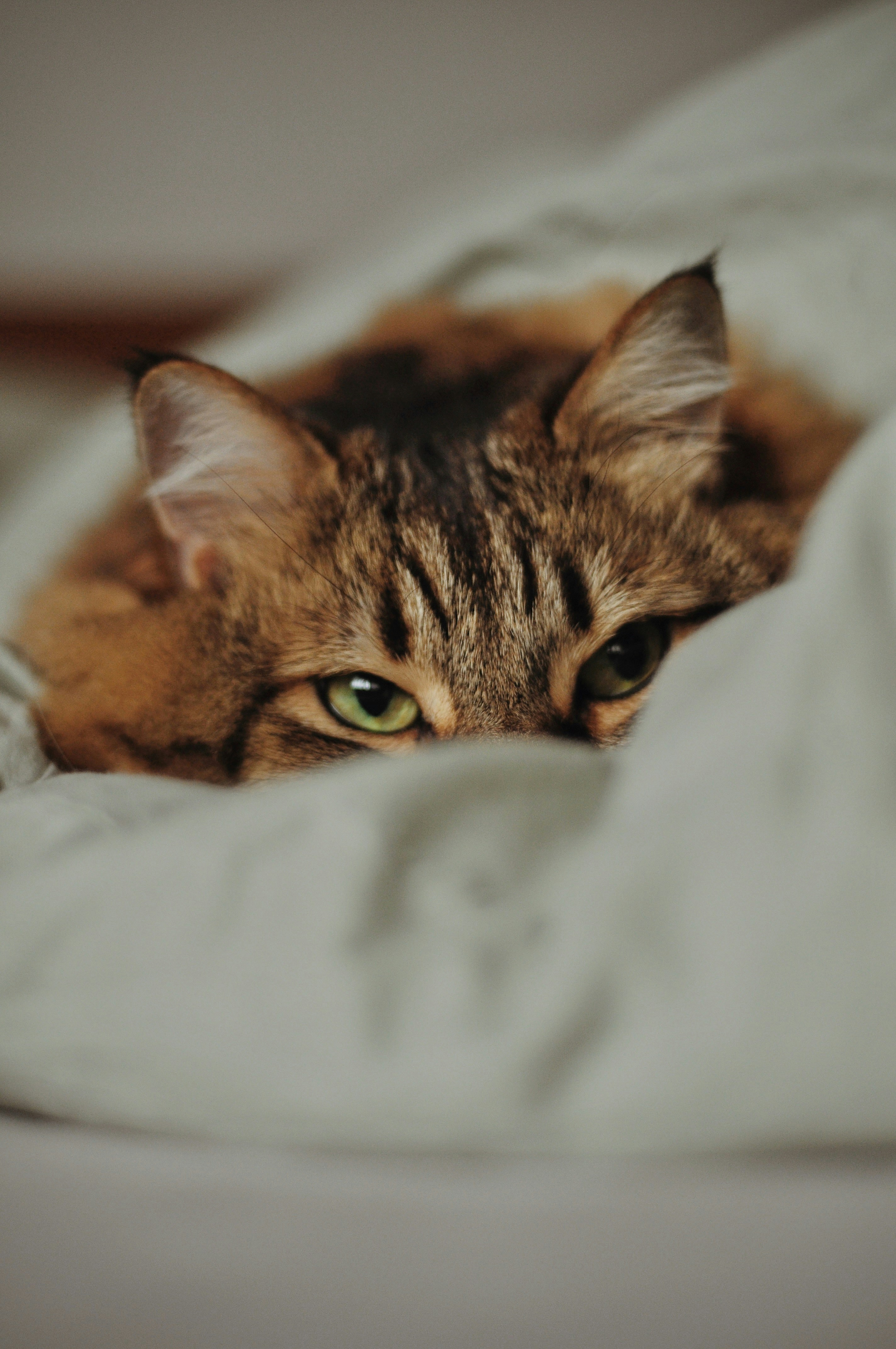 Photo by gorchinska88