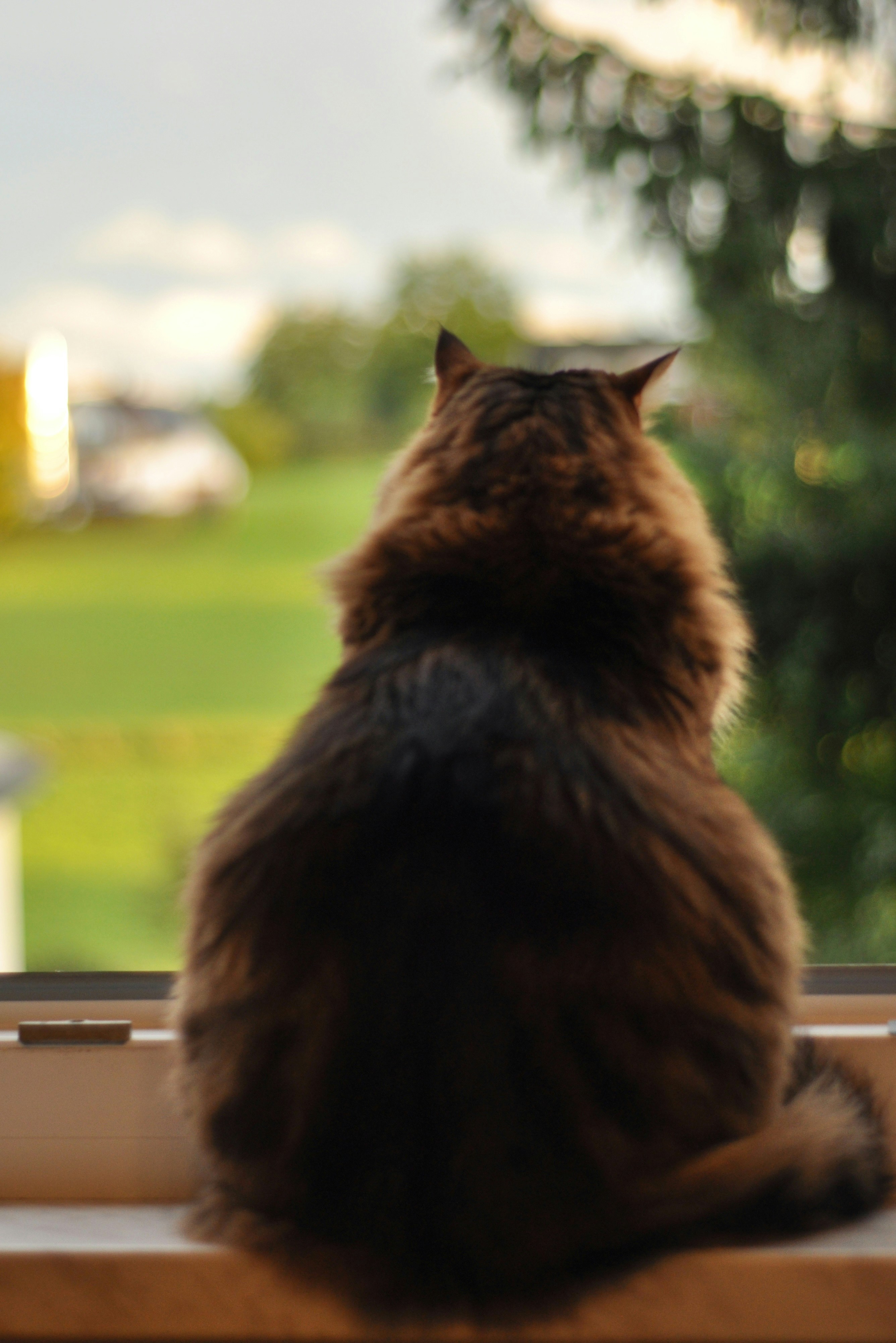 Photo by gorchinska88