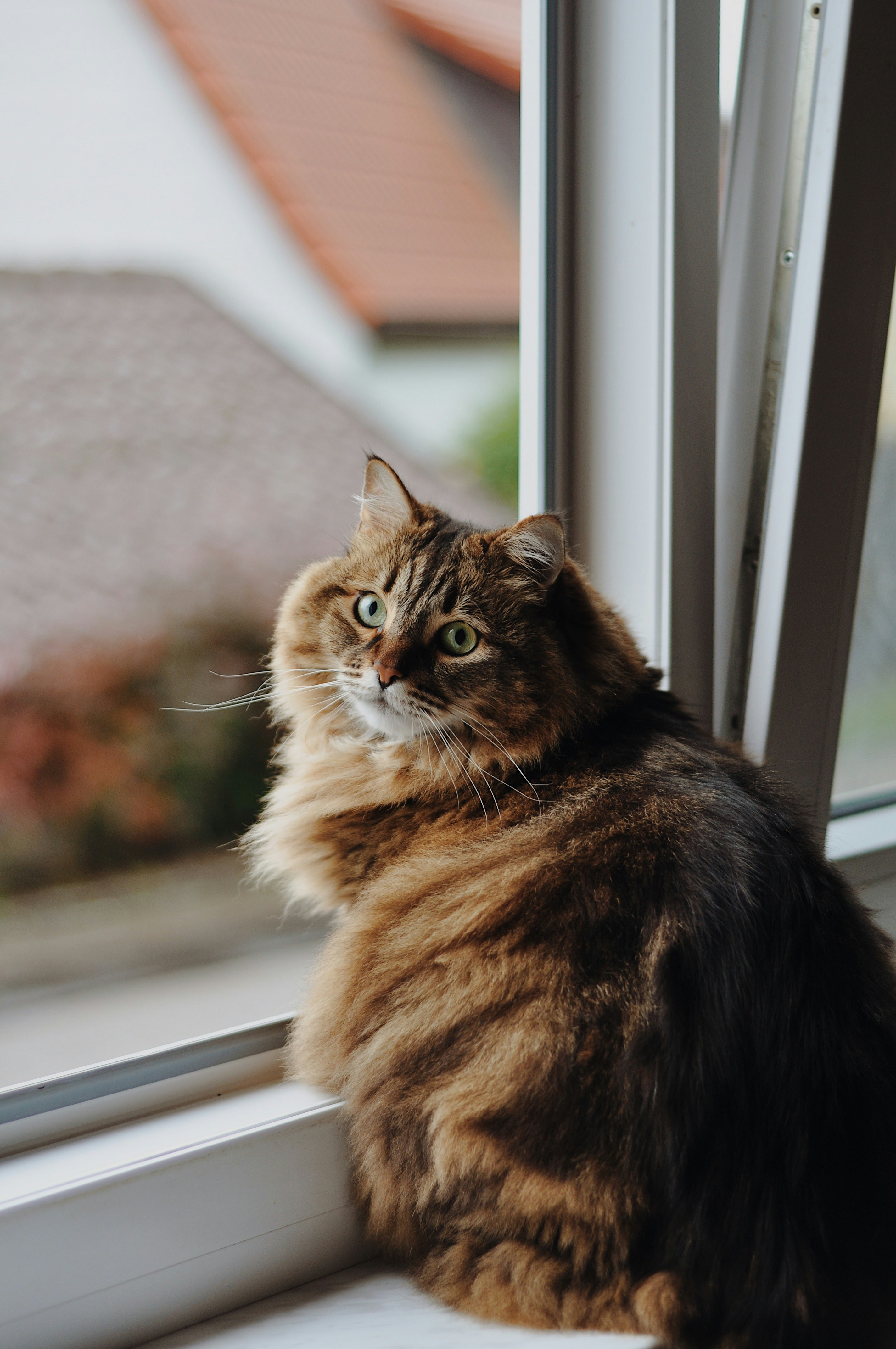 Photo by gorchinska88