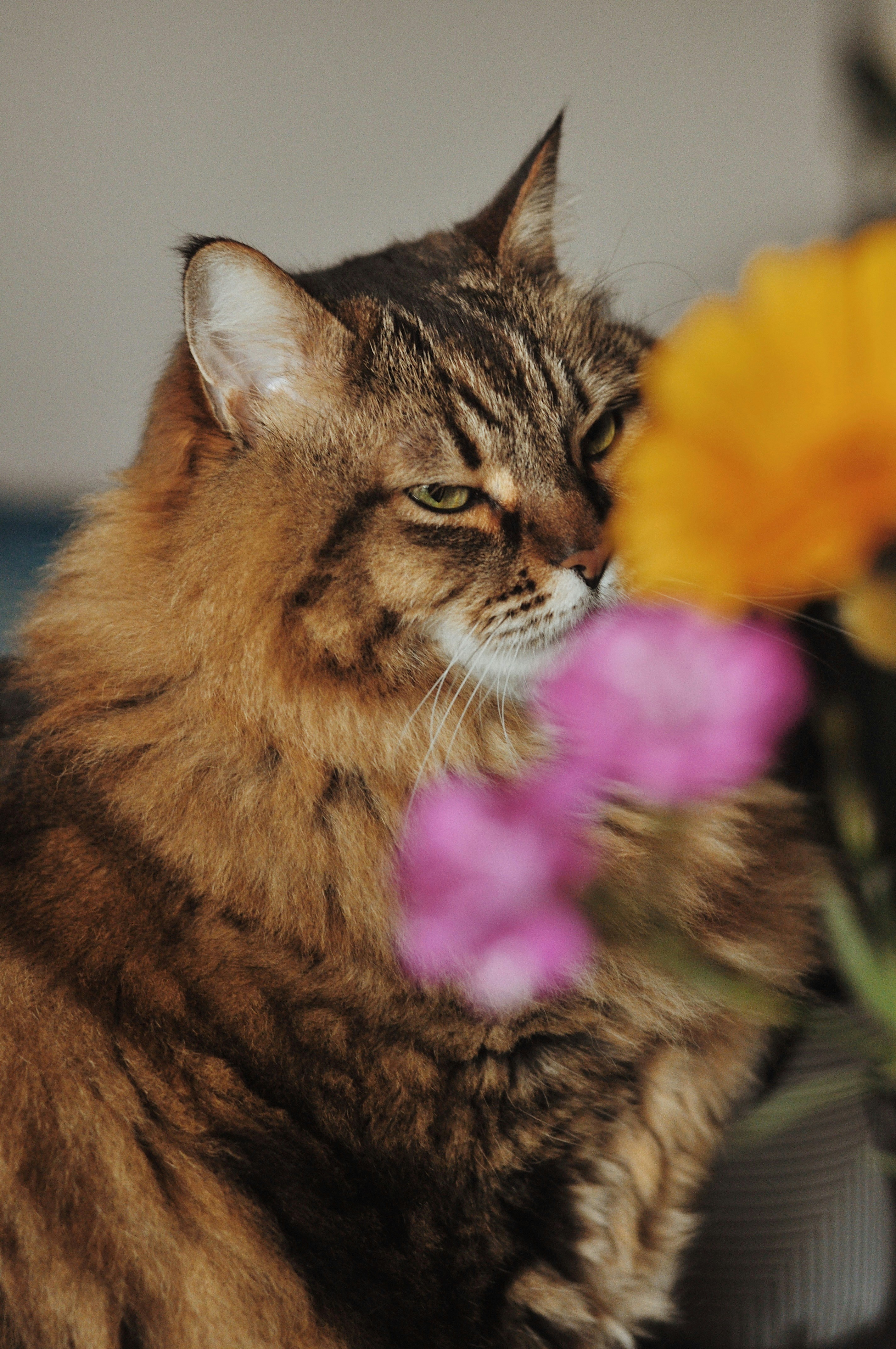 Photo by gorchinska88