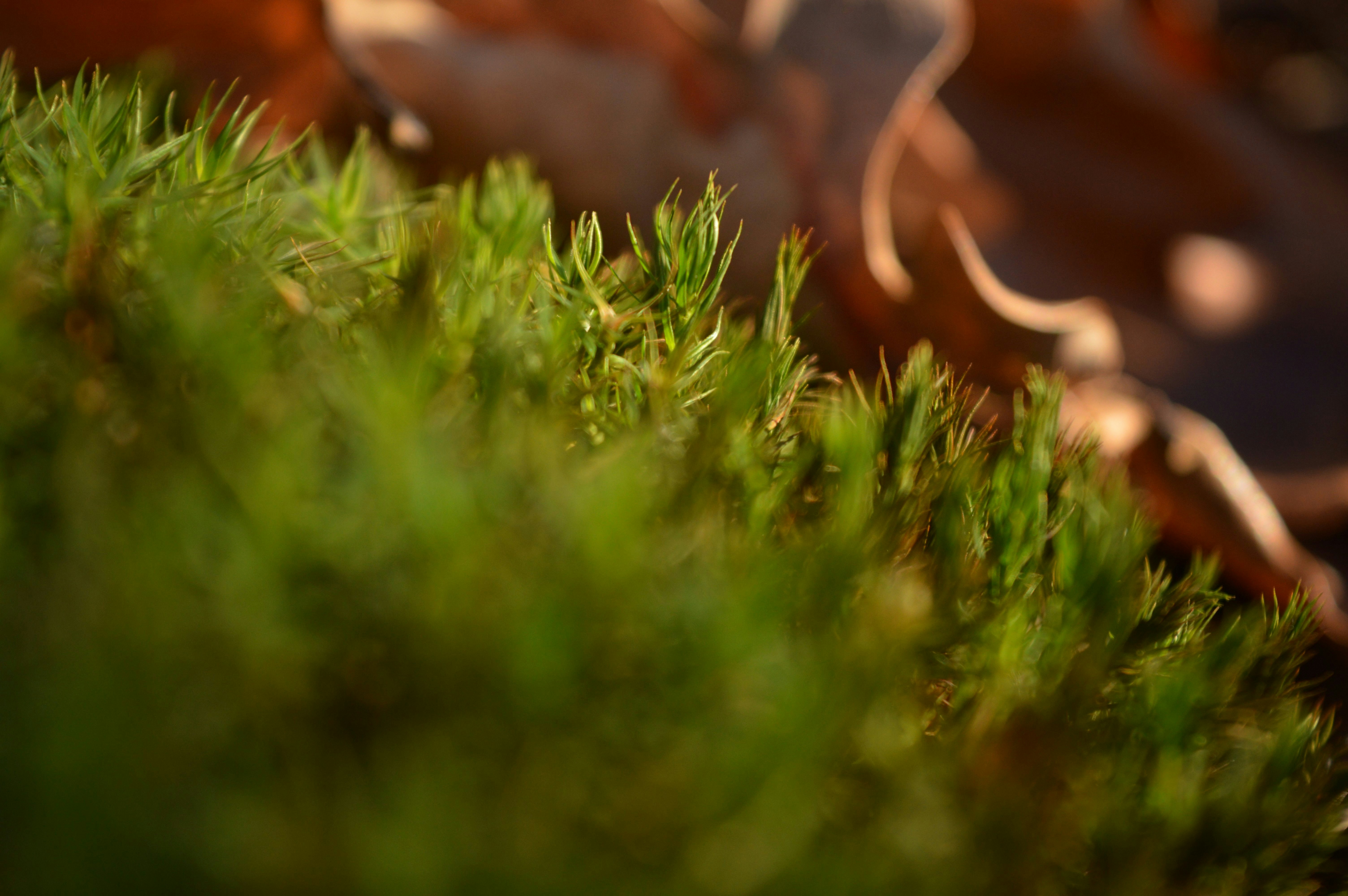 Photo by m_kucera_12