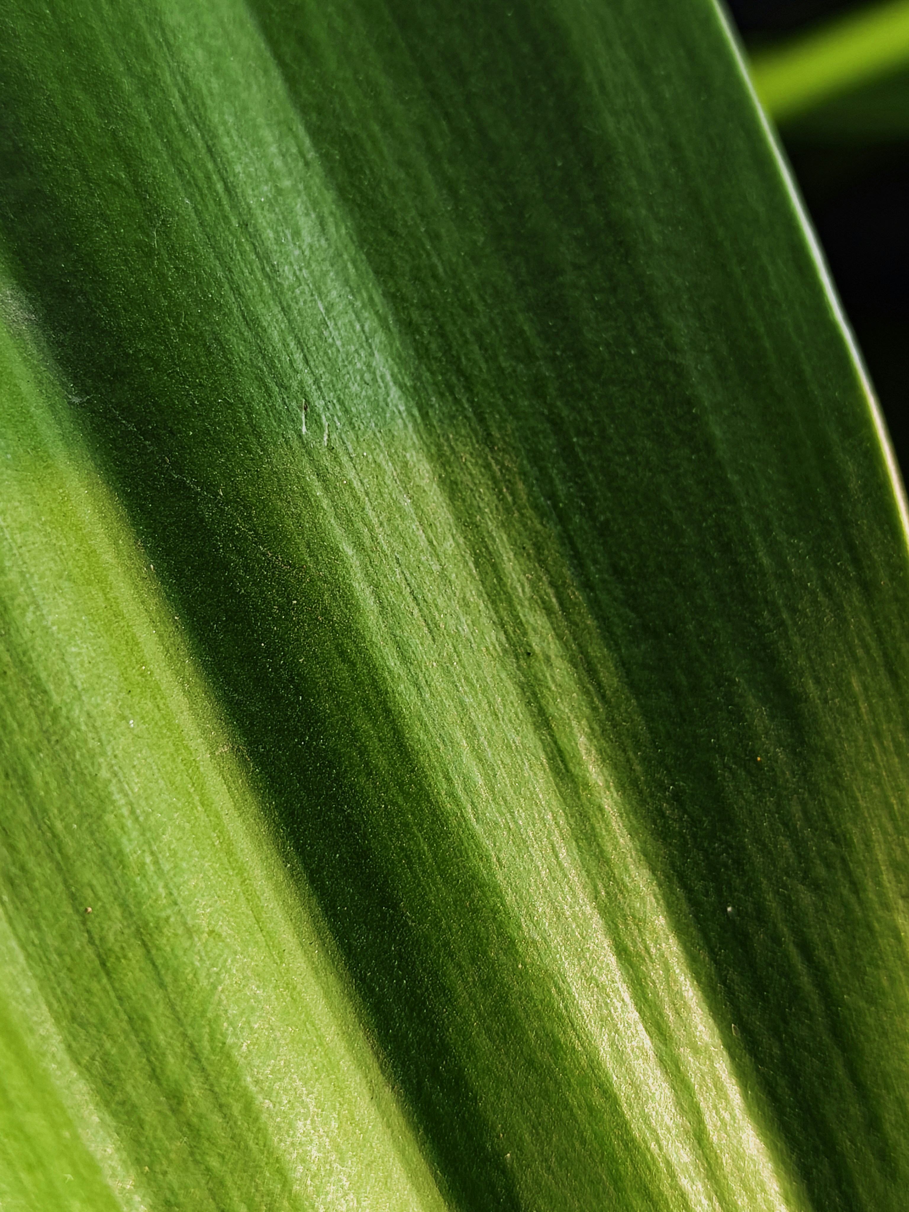 Photo by justaclick_24