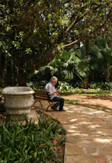 Elderly man sitting on park bench reading