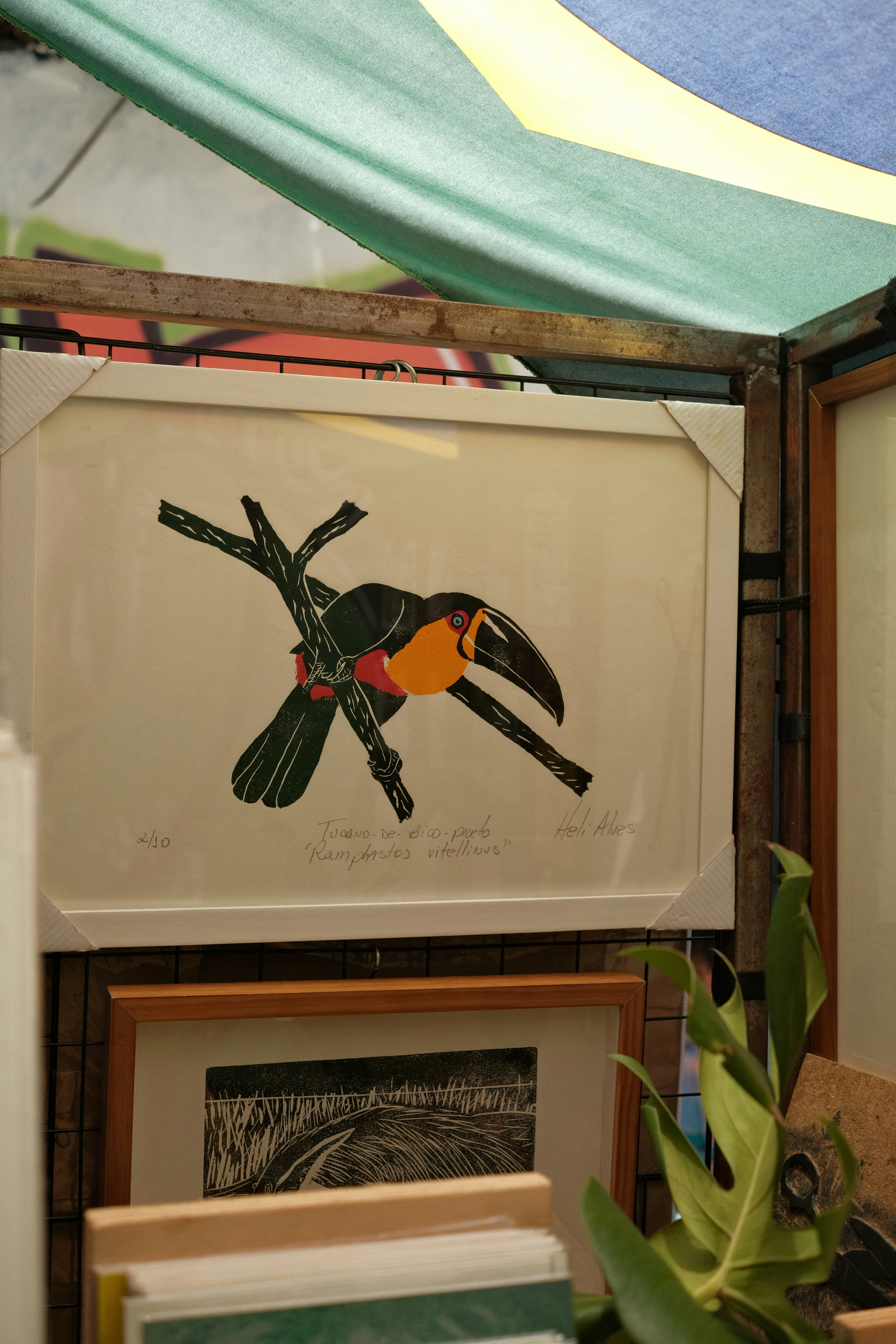 What Is a Limited Edition Print?